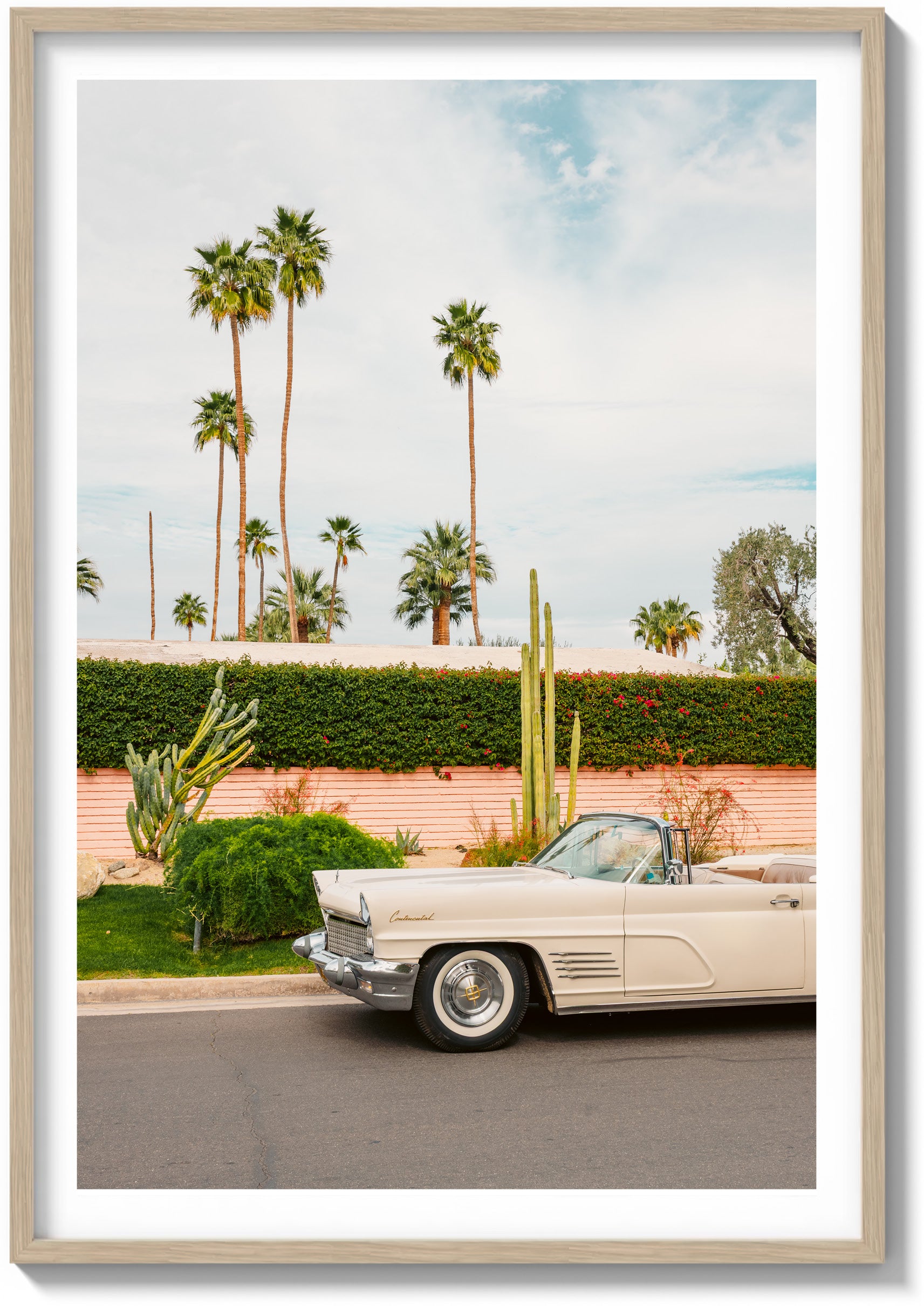 Palette of Palm Springs