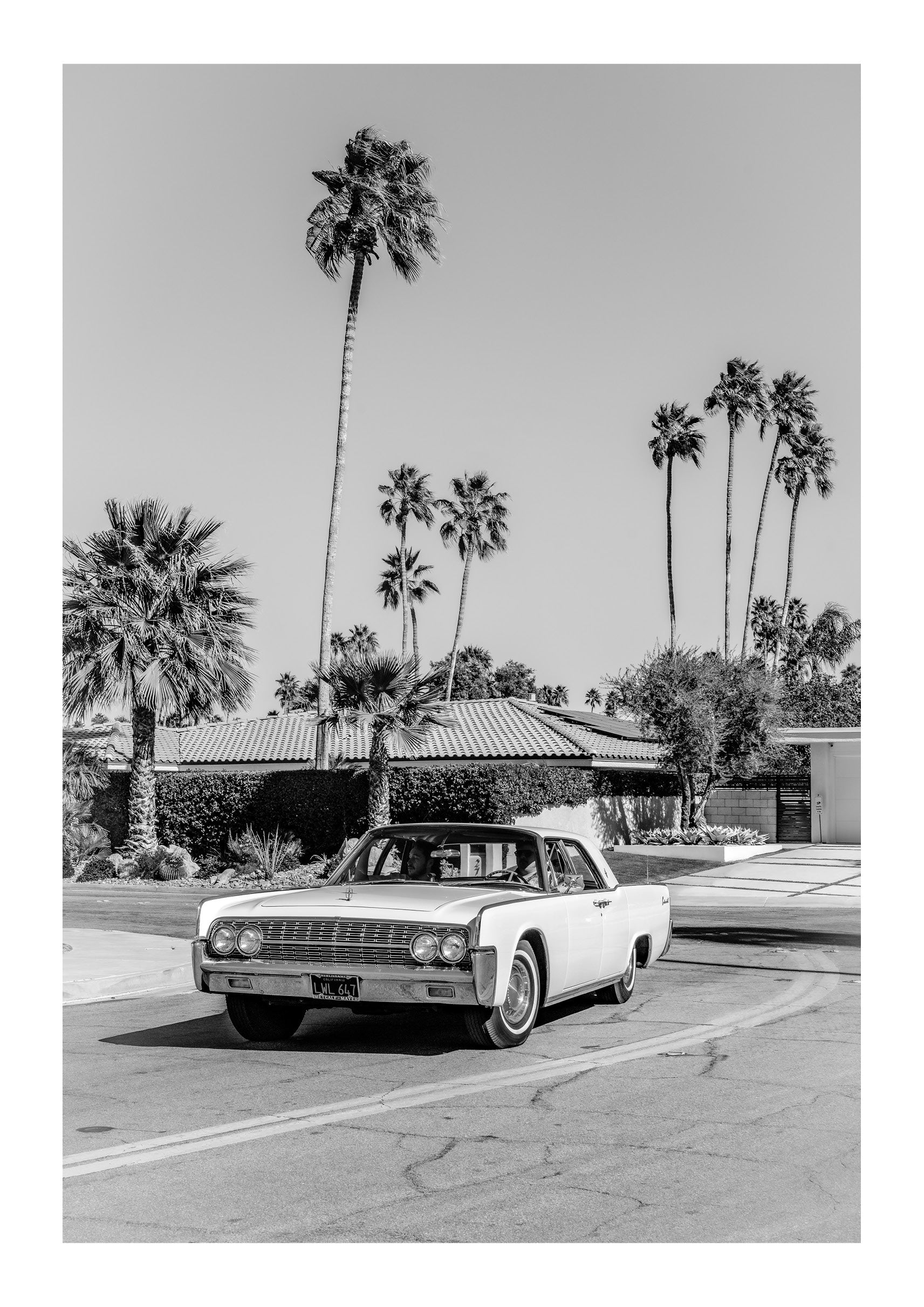 Desert Joy Ride