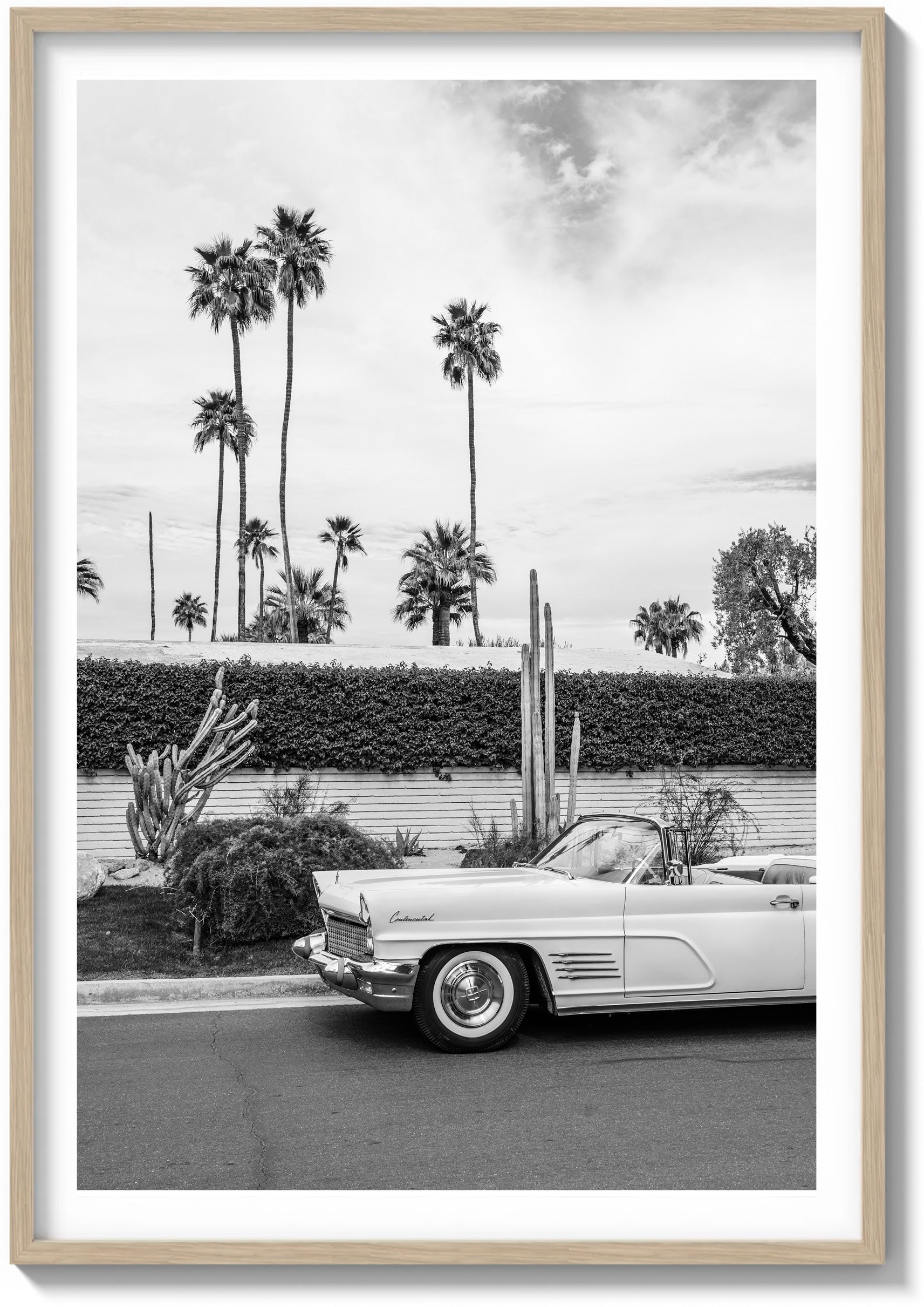 Palette of Palm Springs