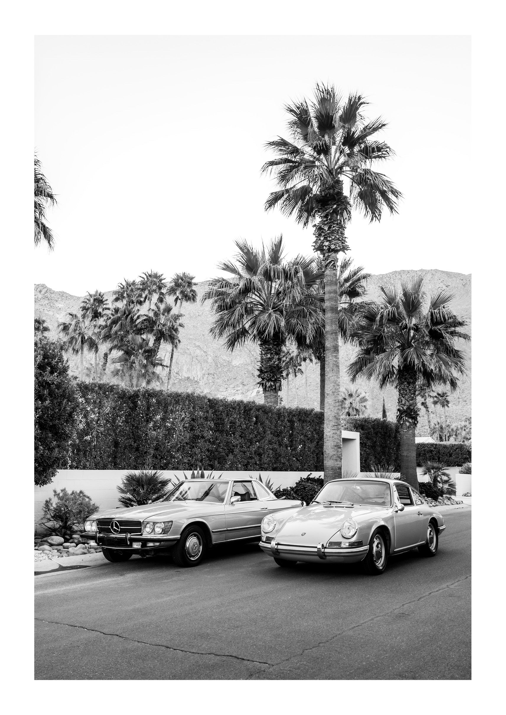 The Lineup