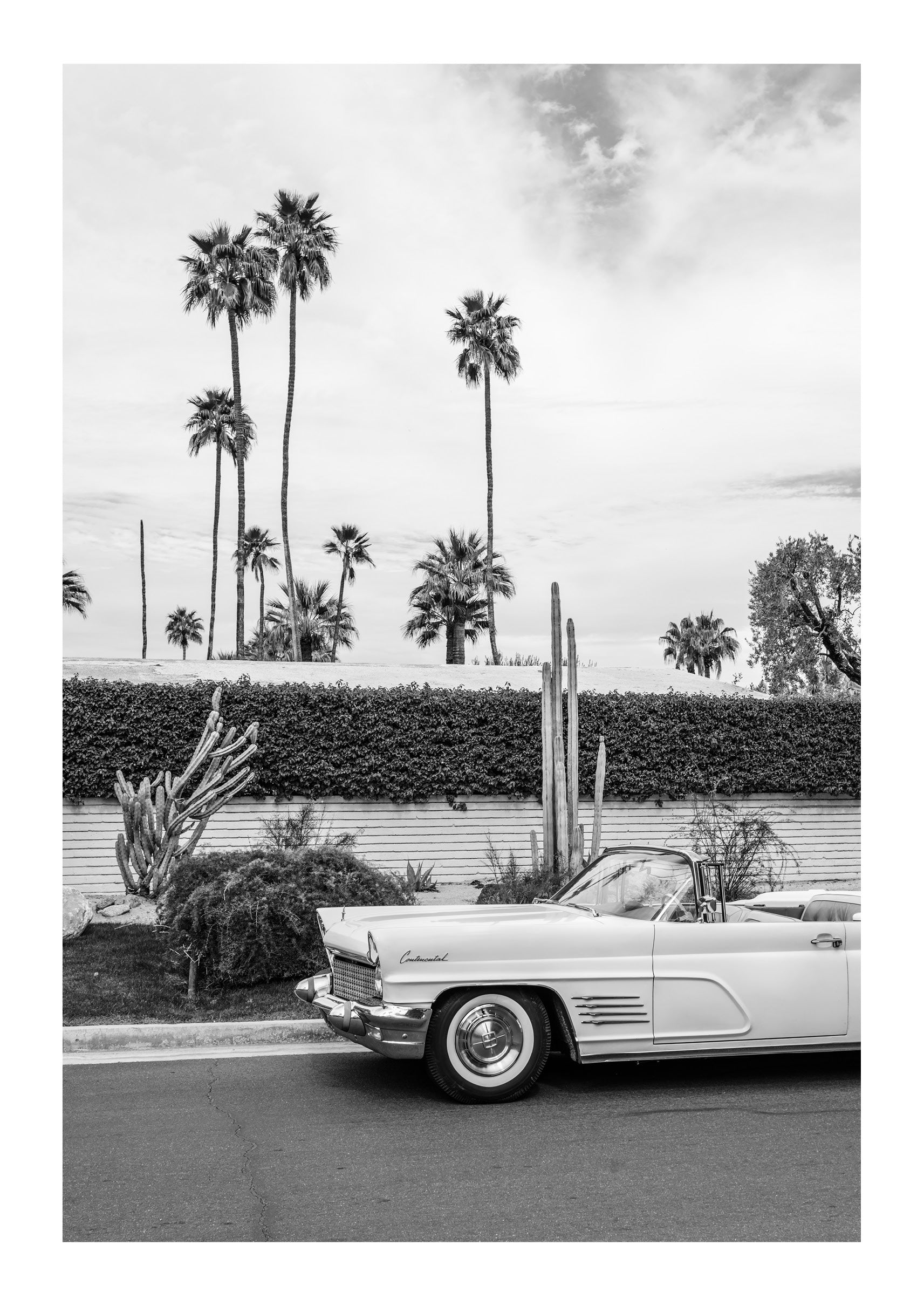 Palette of Palm Springs