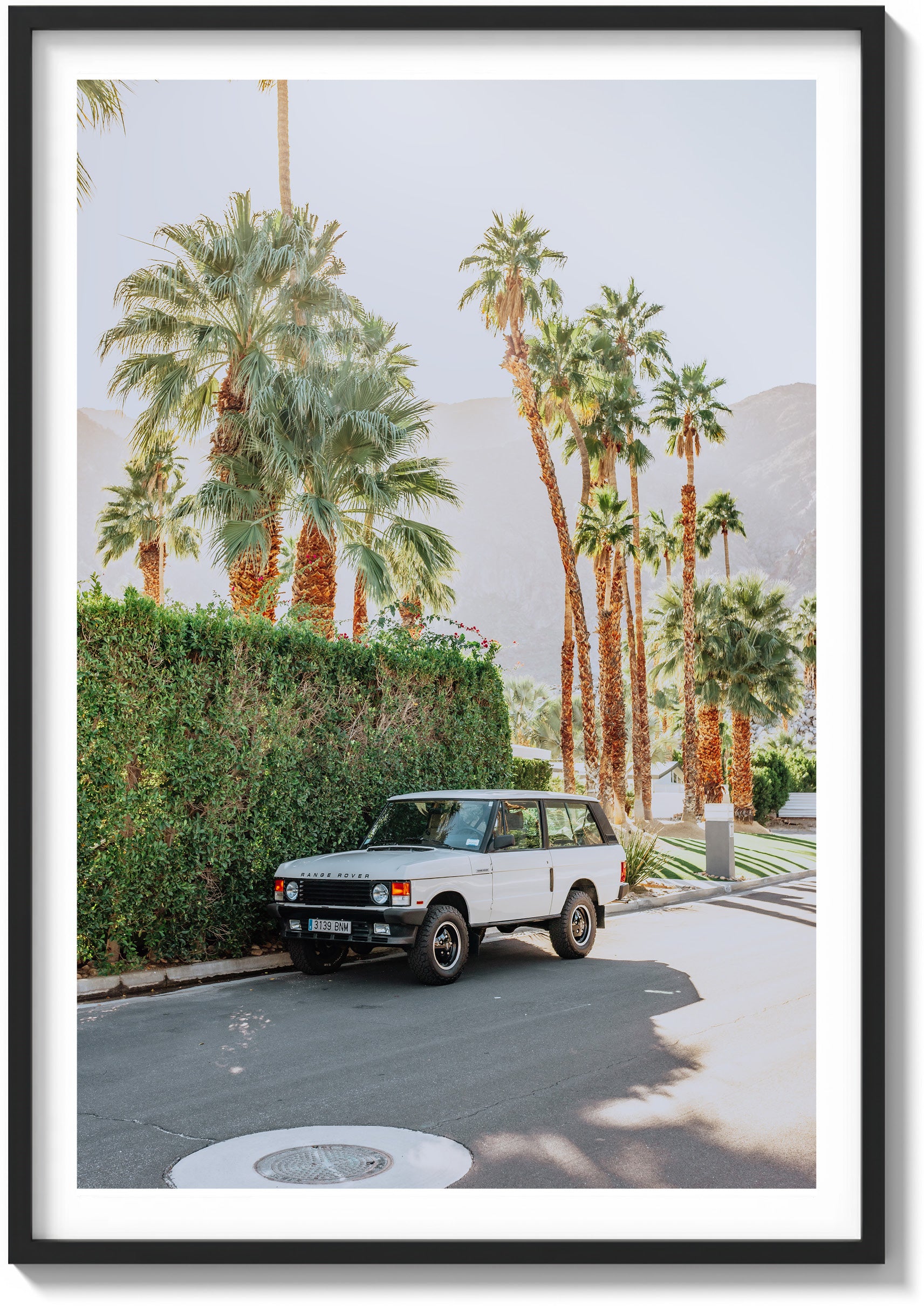 Landy In Light