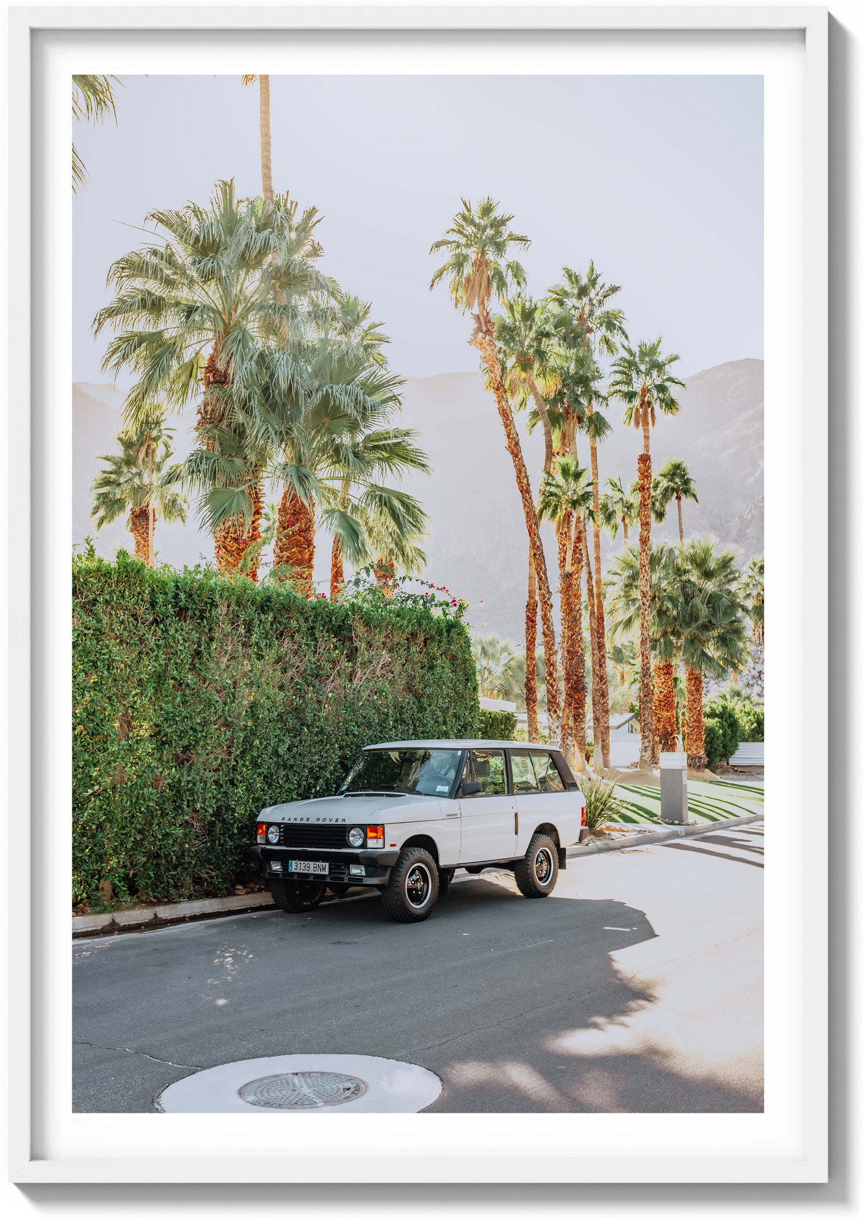 Landy In Light