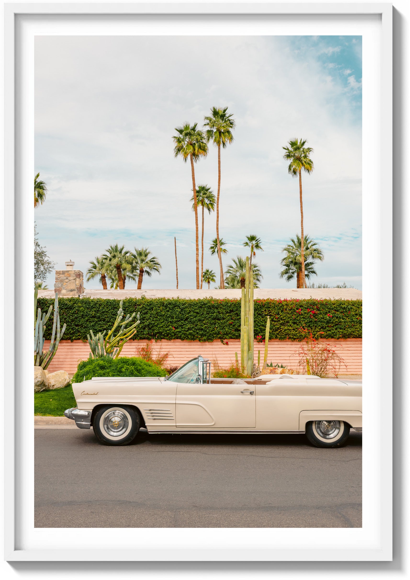 Palm Springs Pastels