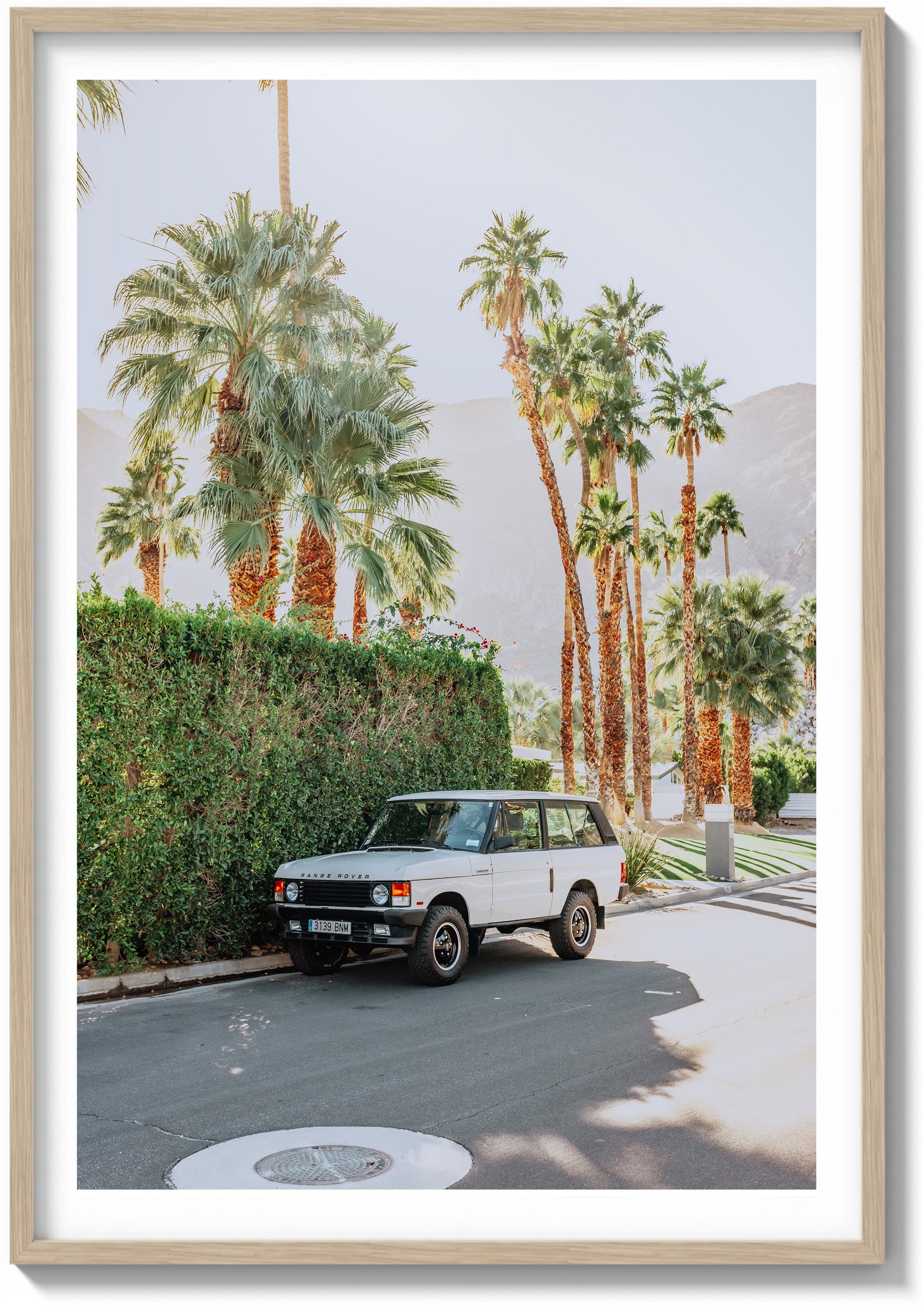 Landy In Light