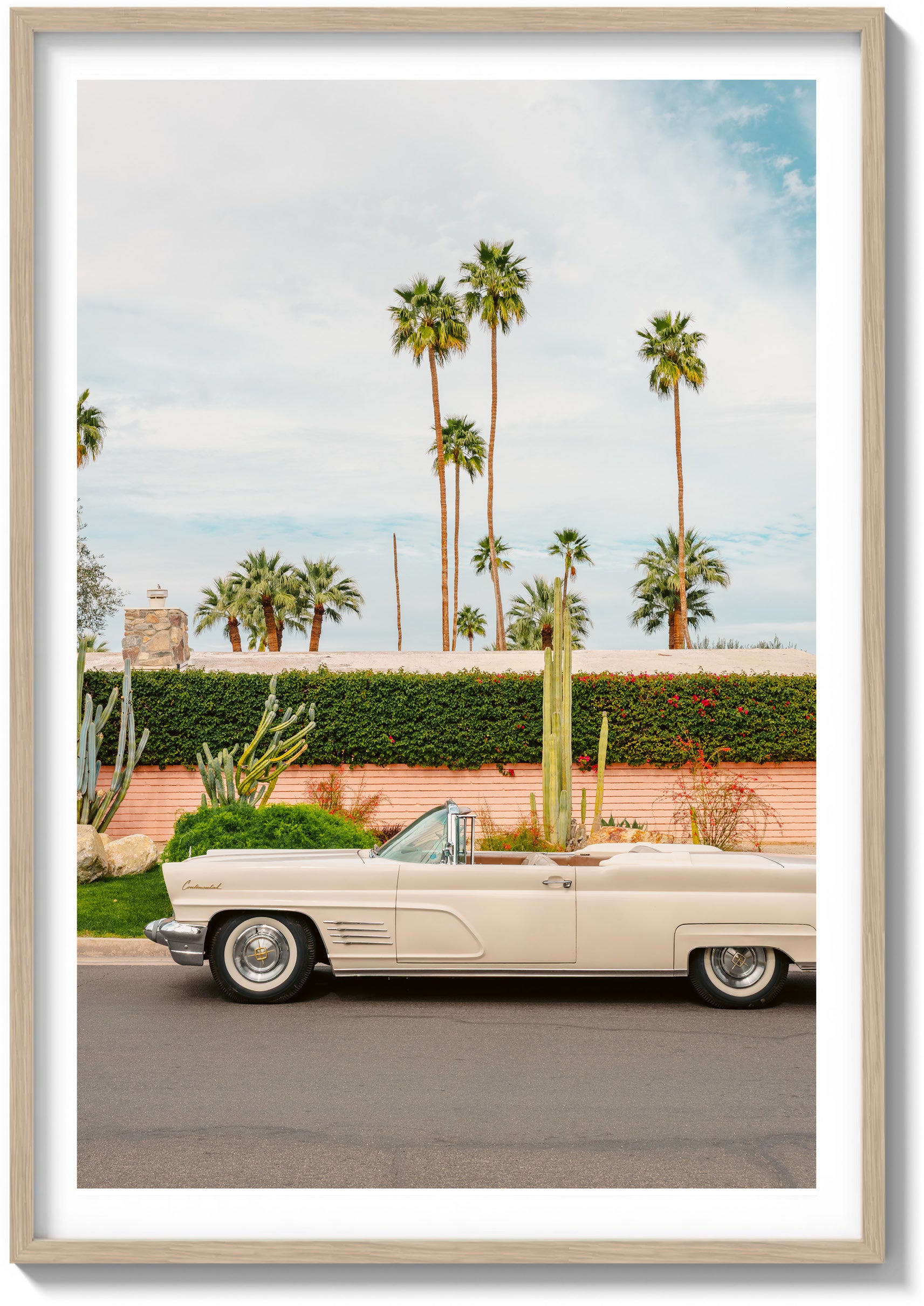Palm Springs Pastels