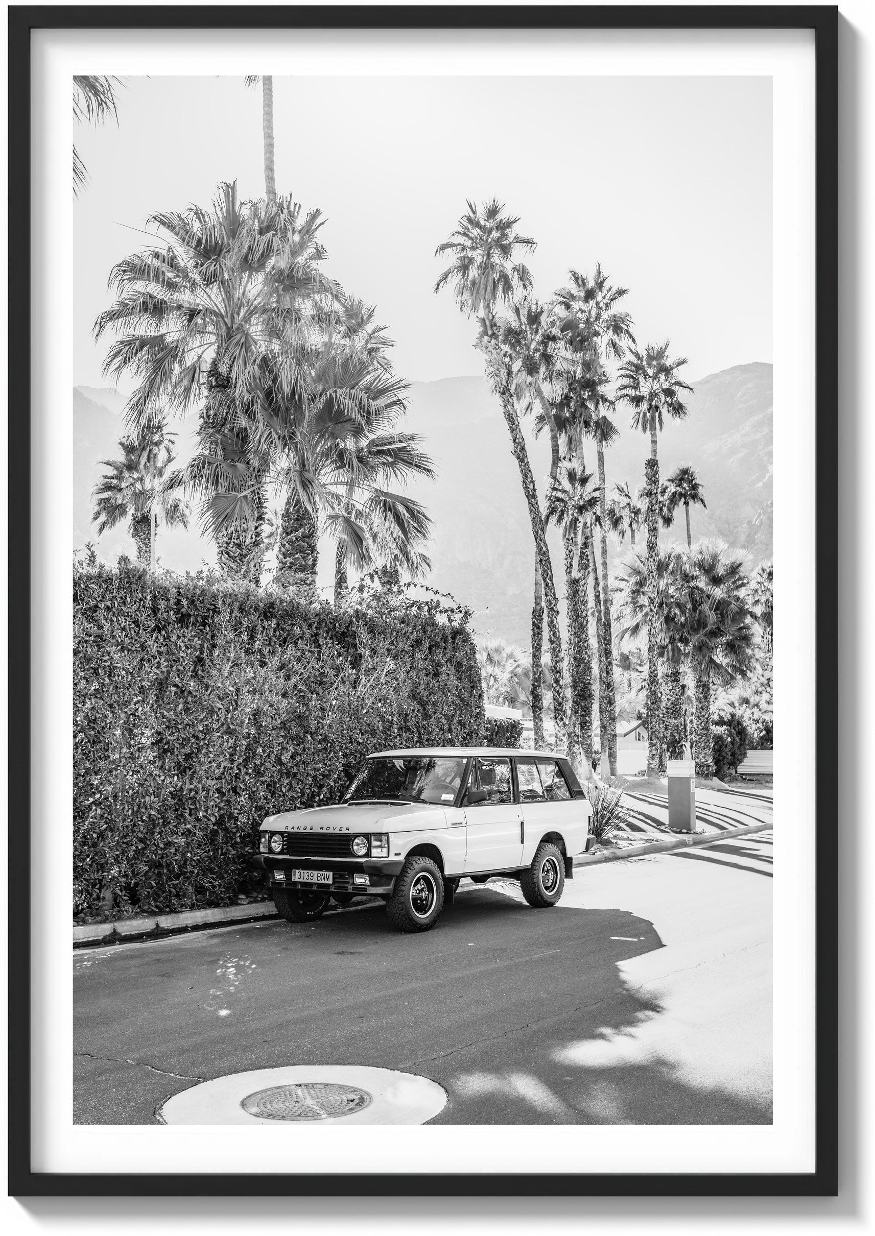 Landy In Light
