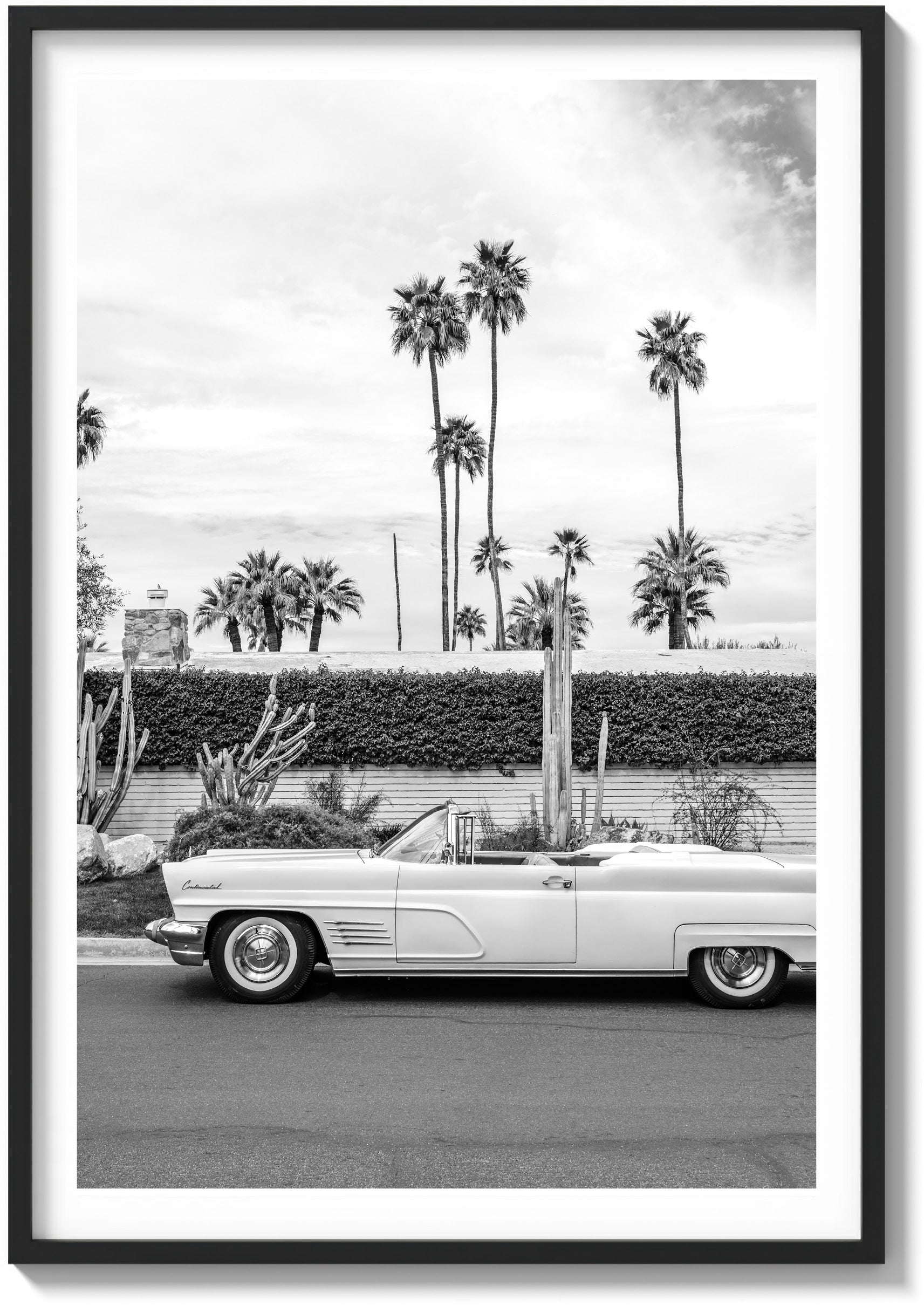 Palm Springs Pastels