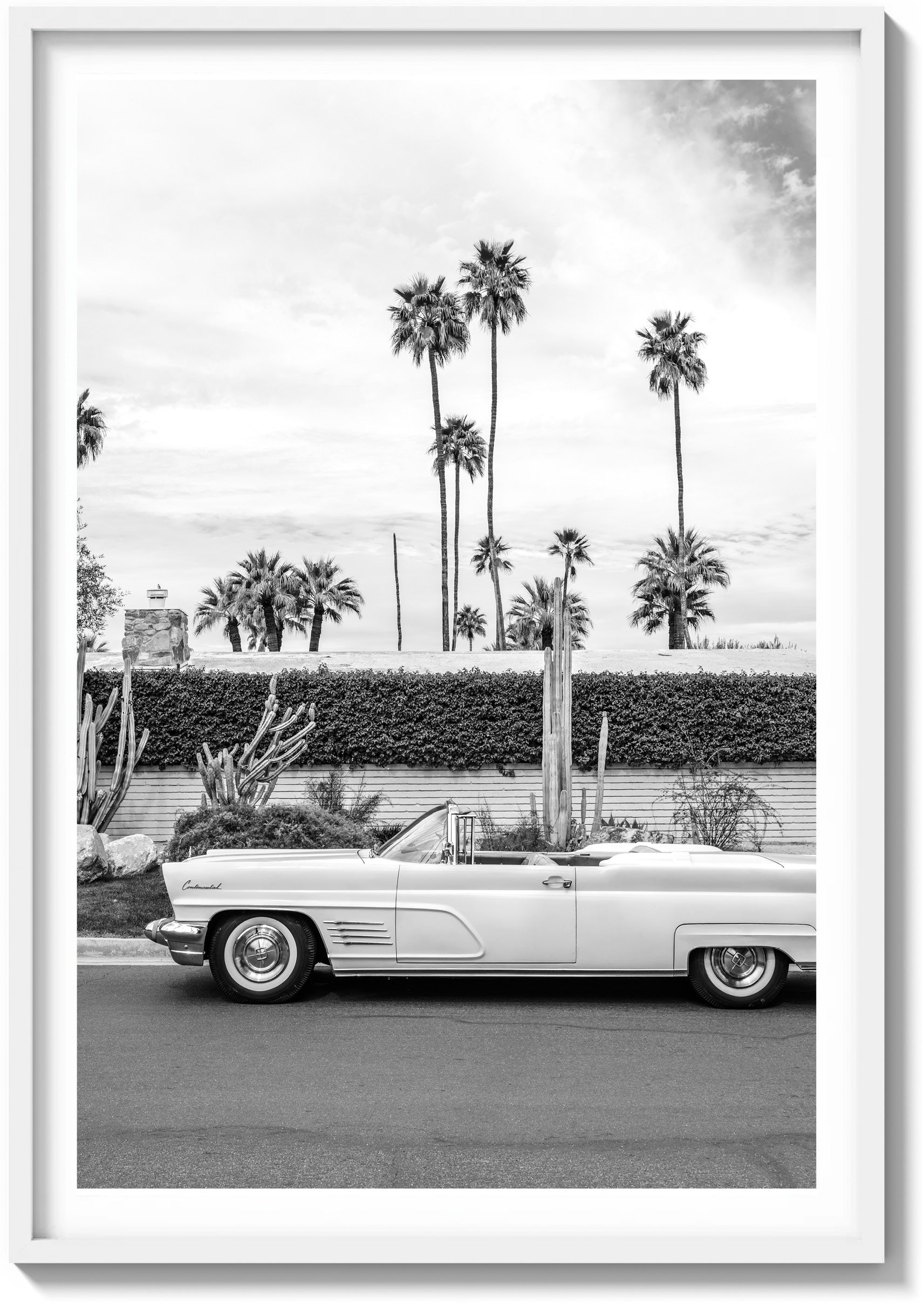 Palm Springs Pastels