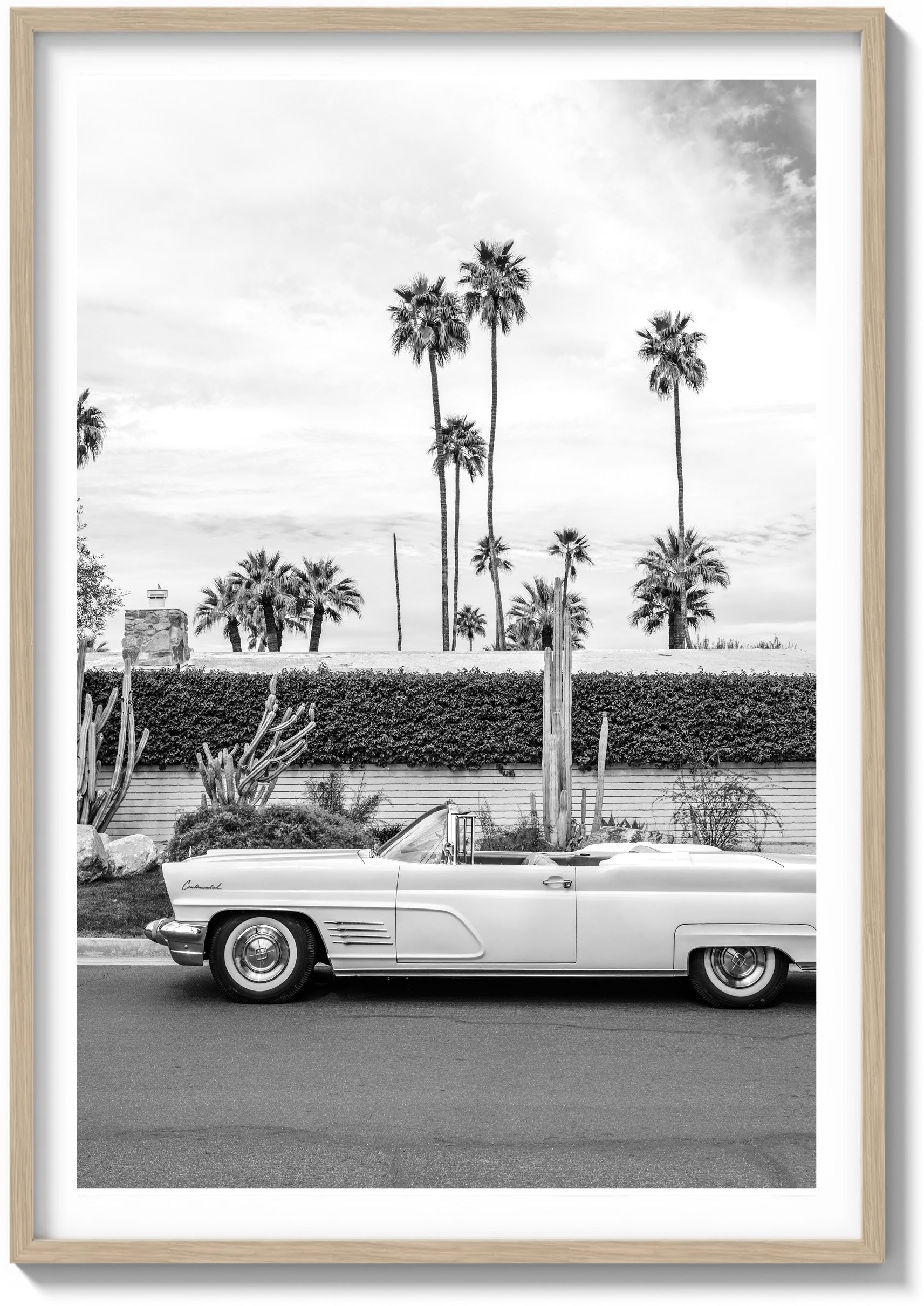 Palm Springs Pastels