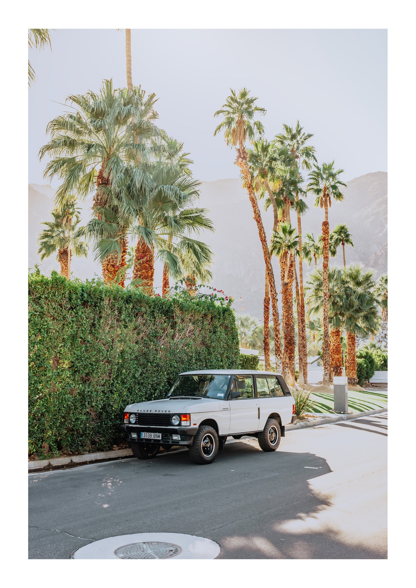Landy In Light