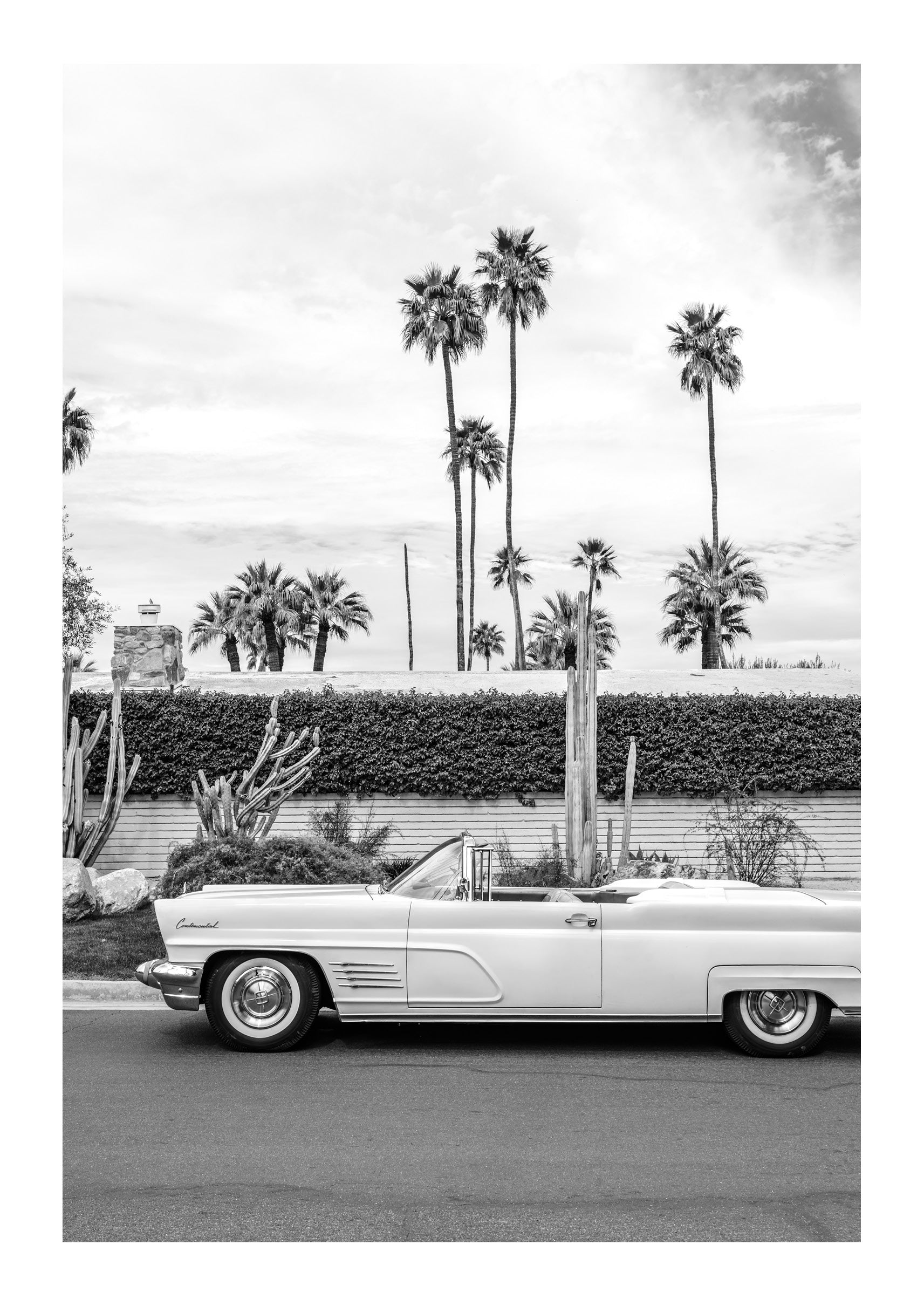 Palm Springs Pastels