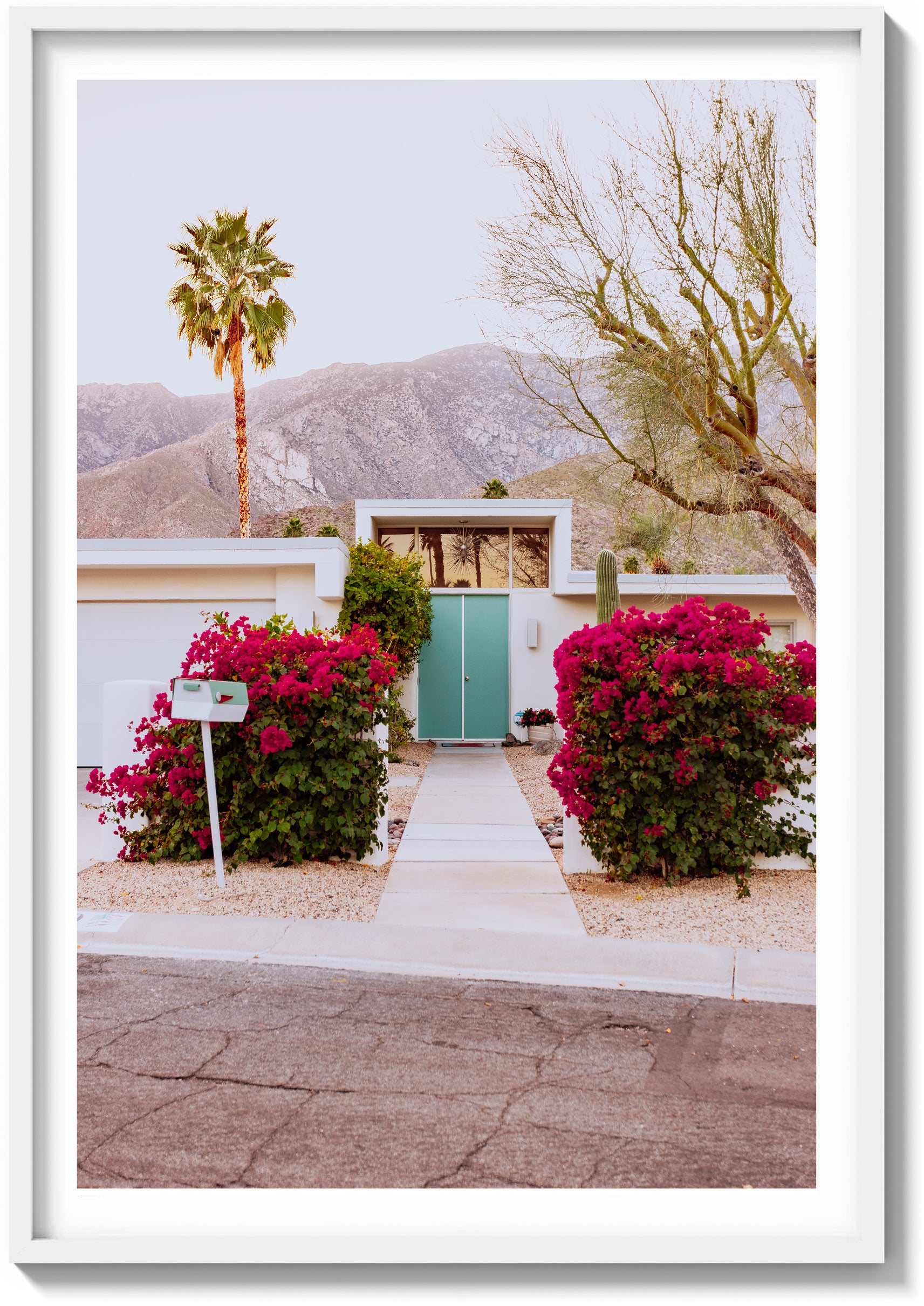 Doors of Palm Springs
