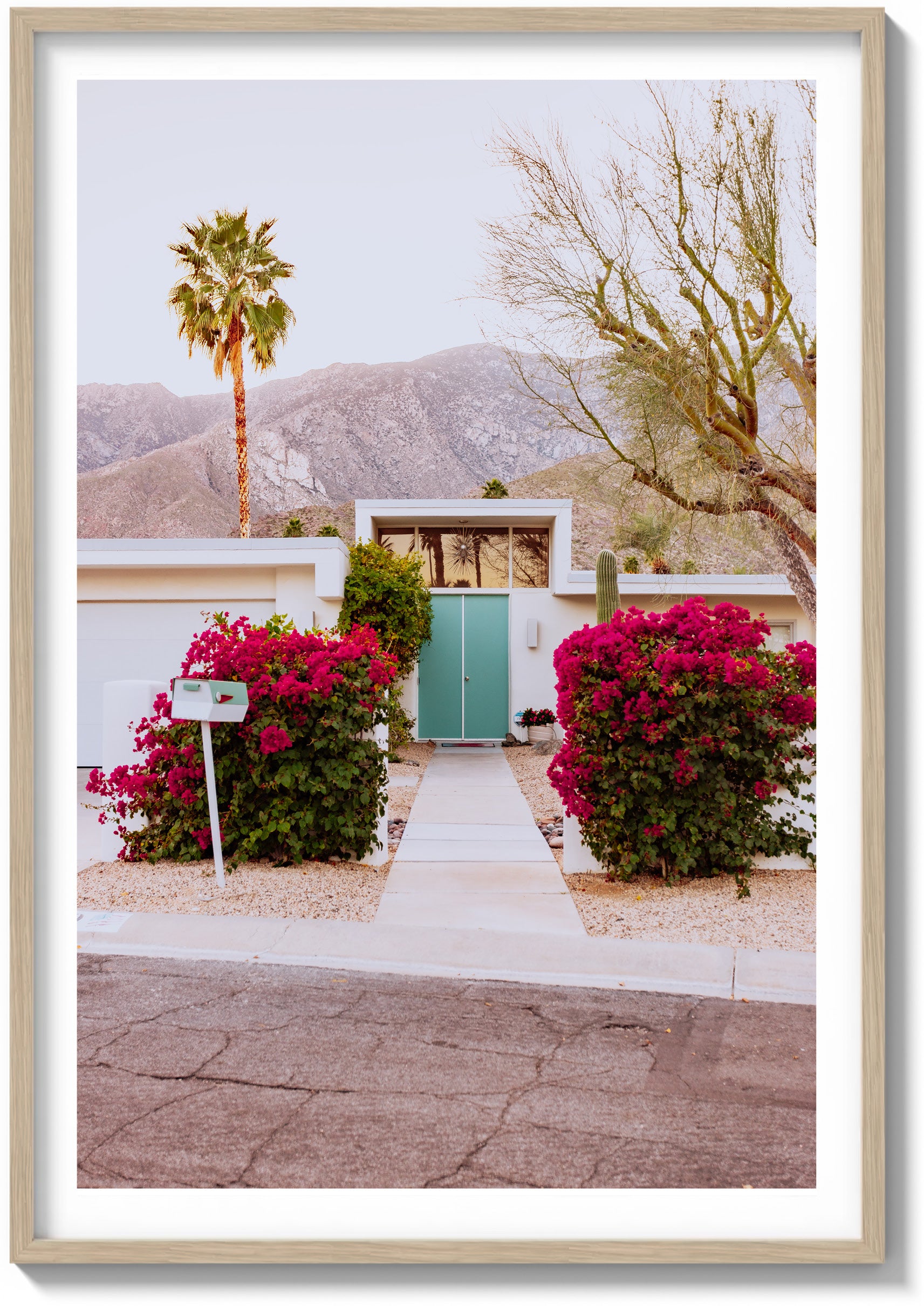 Doors of Palm Springs