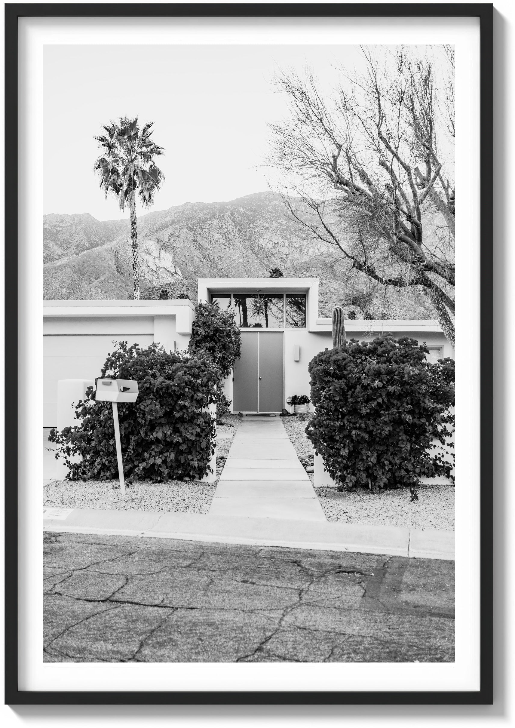 Doors of Palm Springs