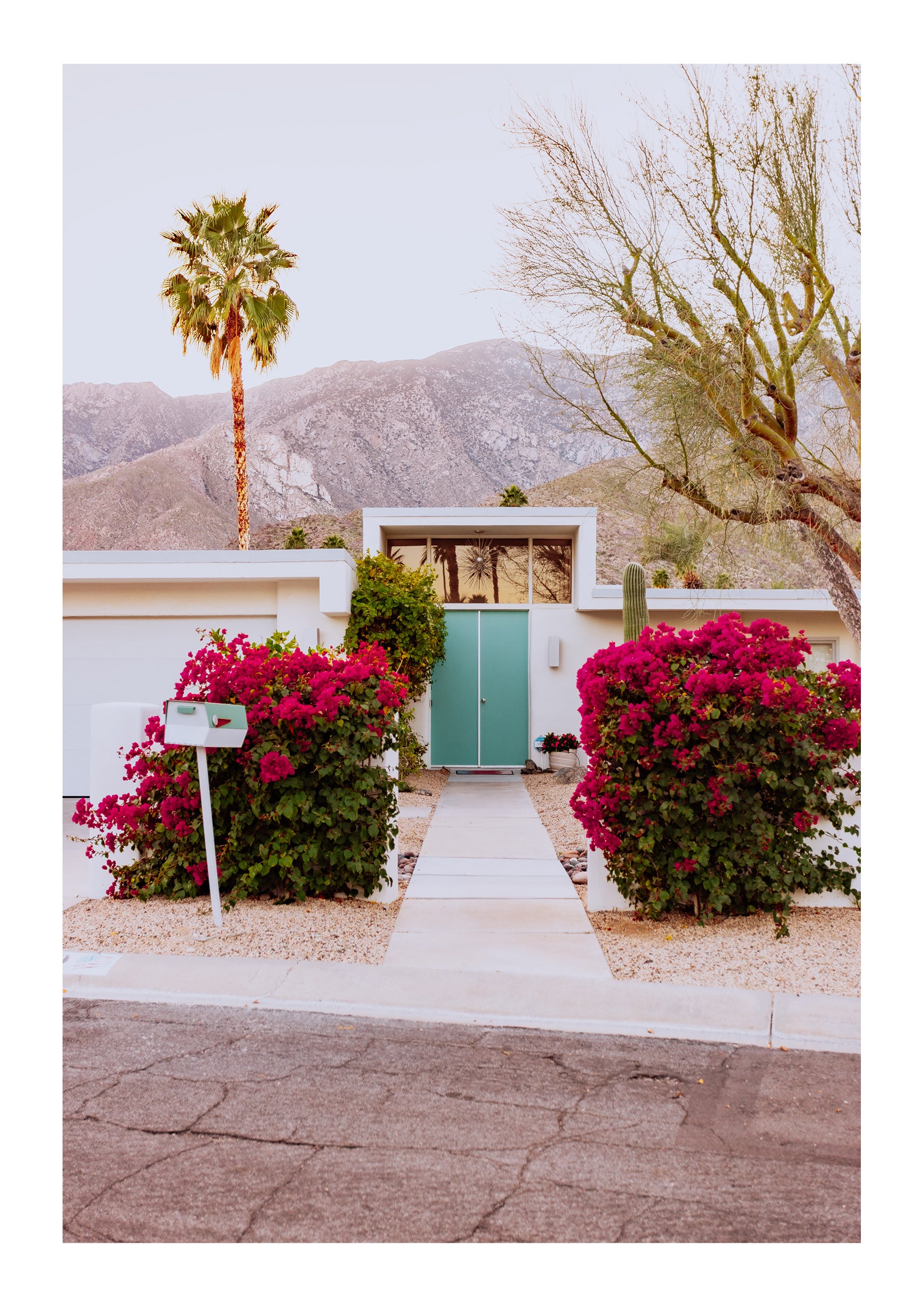 Doors of Palm Springs