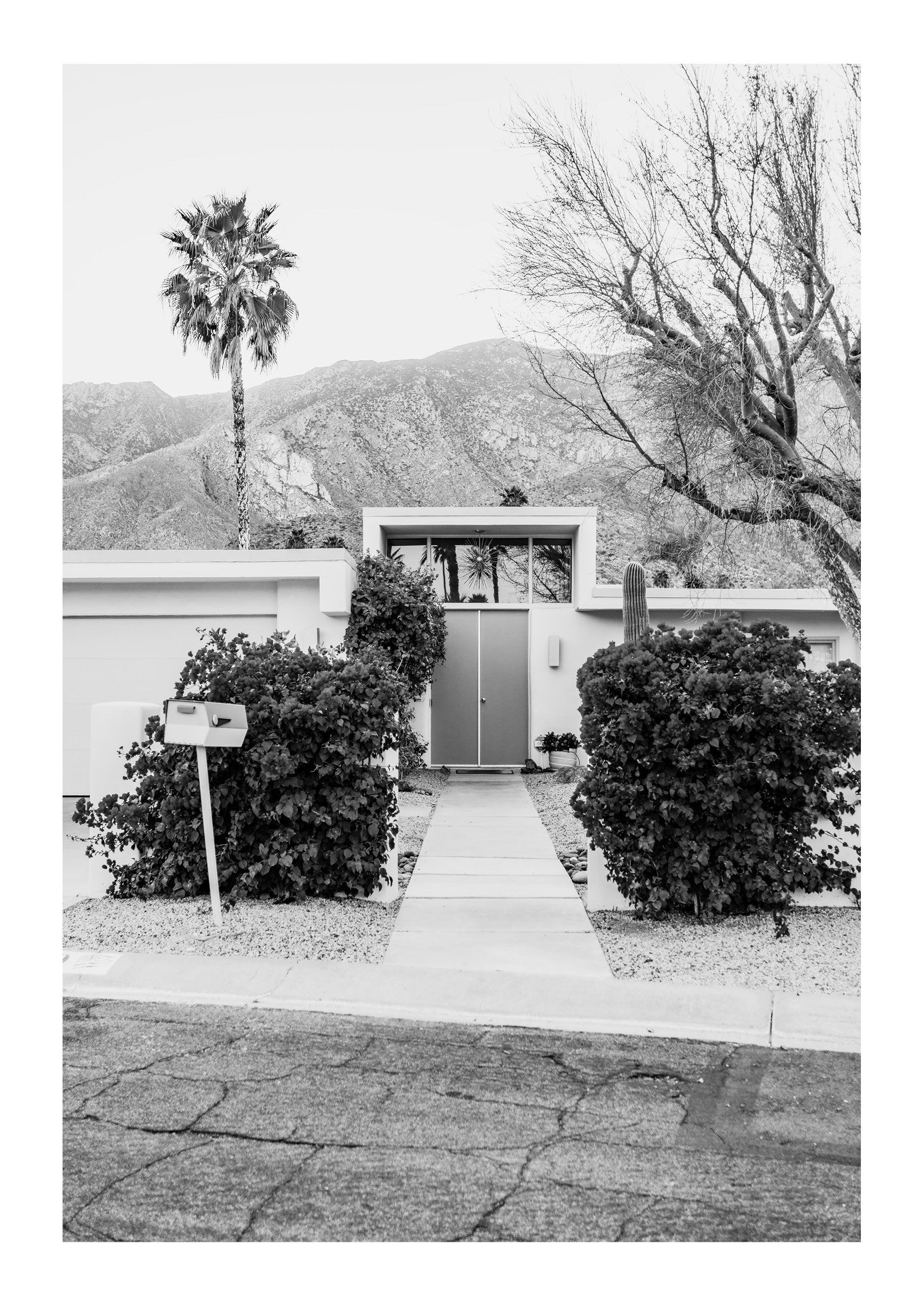 Doors of Palm Springs