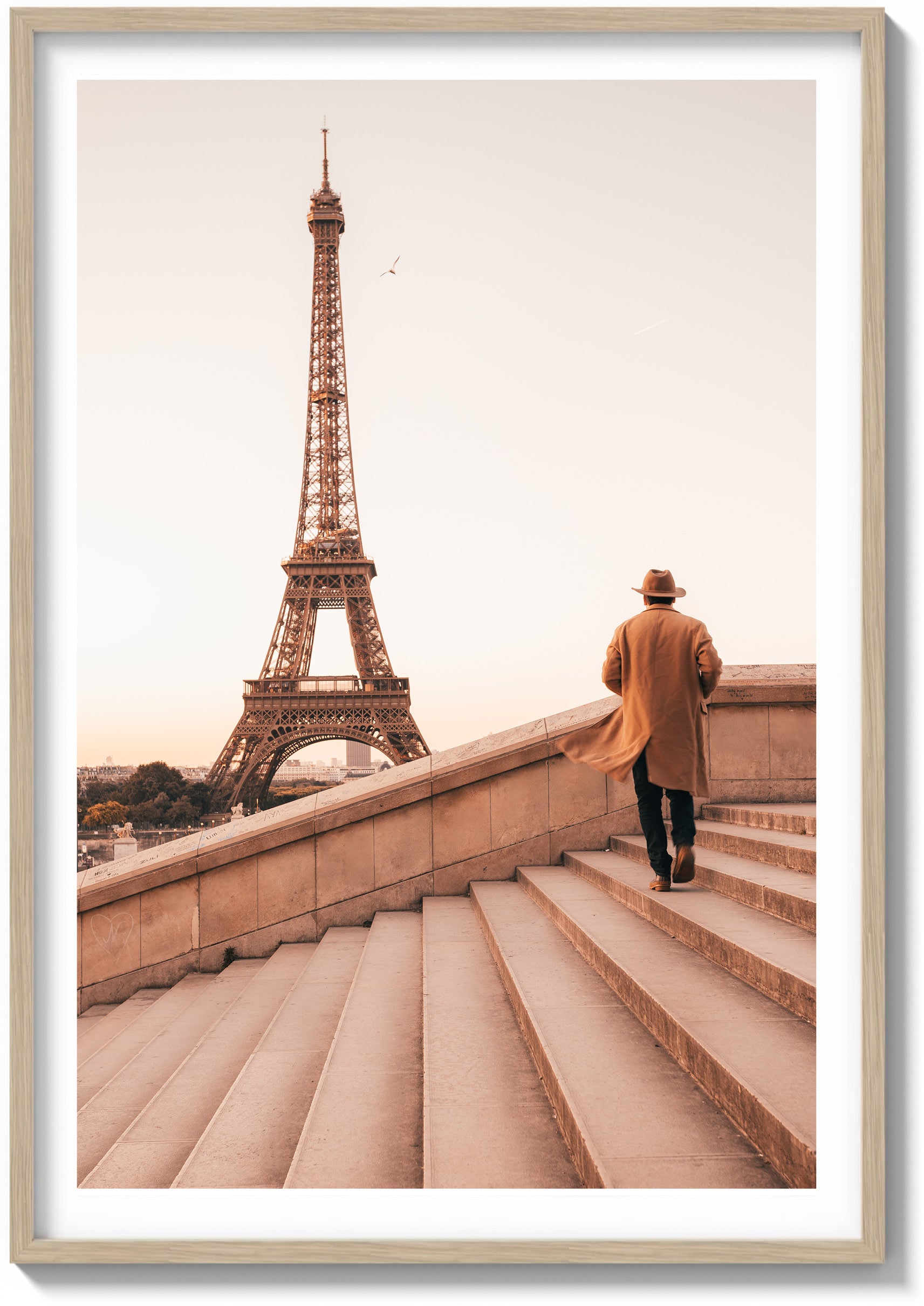 Trocadéro Sunrise
