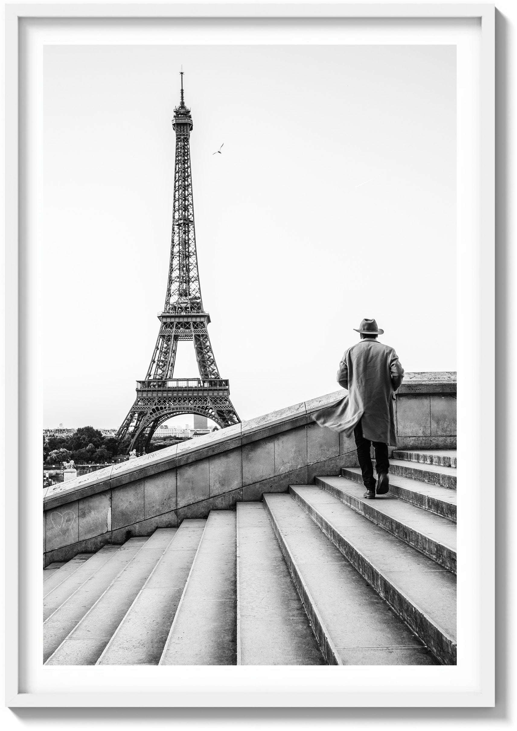 Trocadéro Sunrise