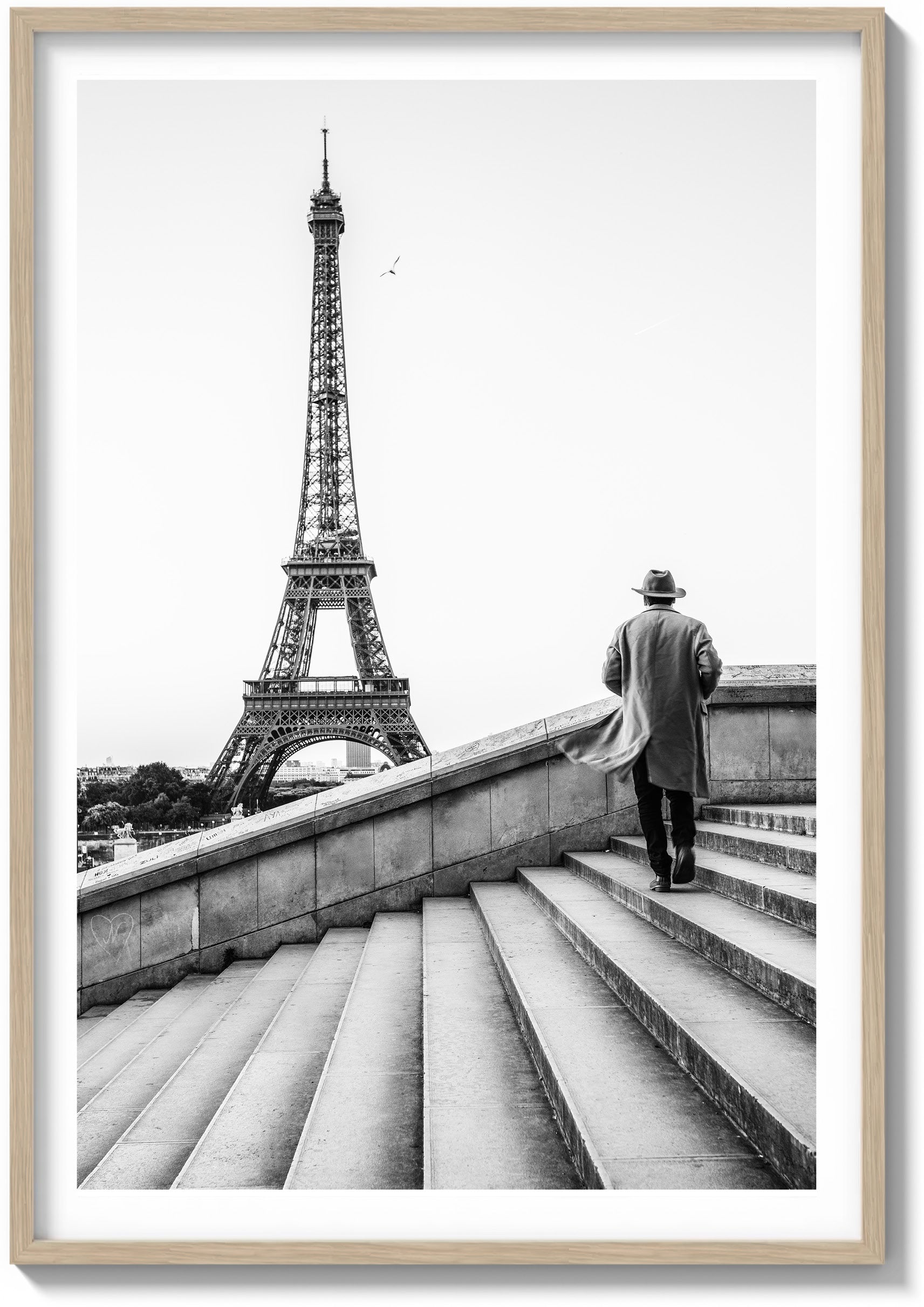 Trocadéro Sunrise