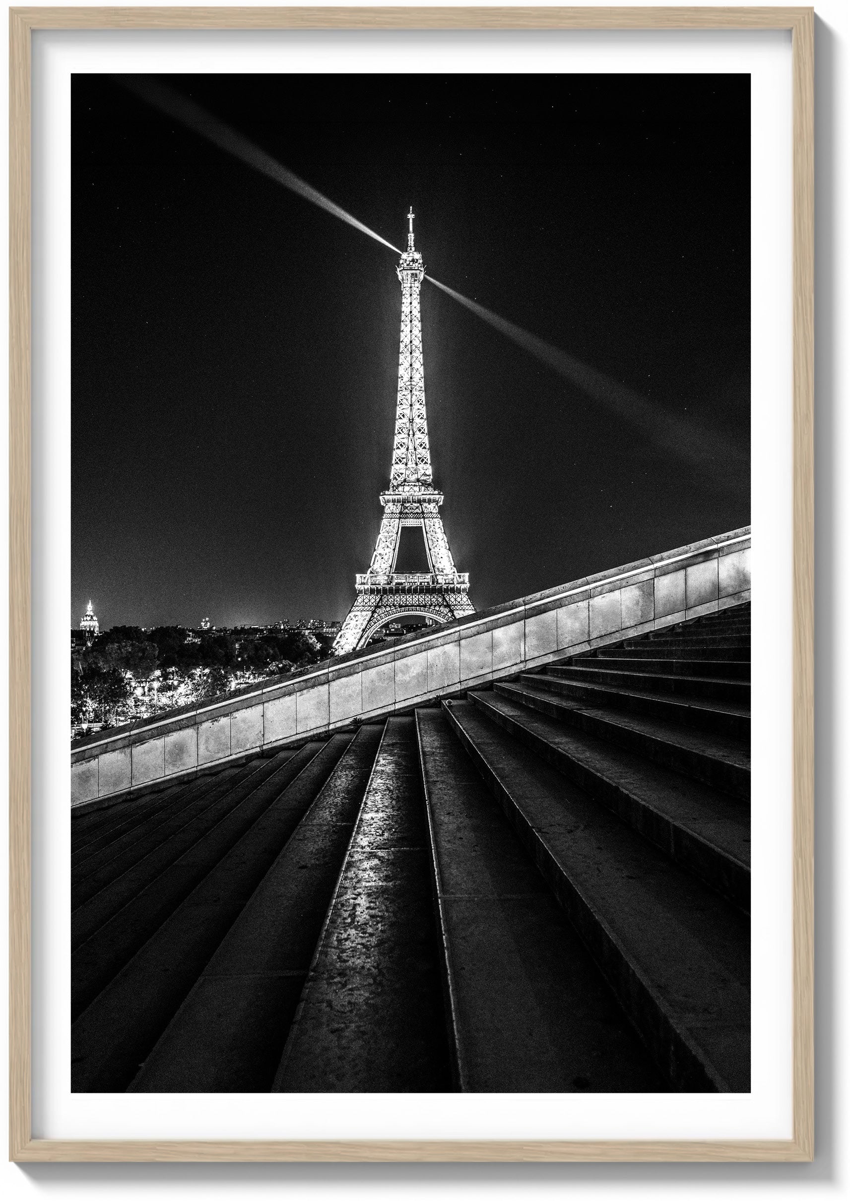 Steps of the Trocadéro