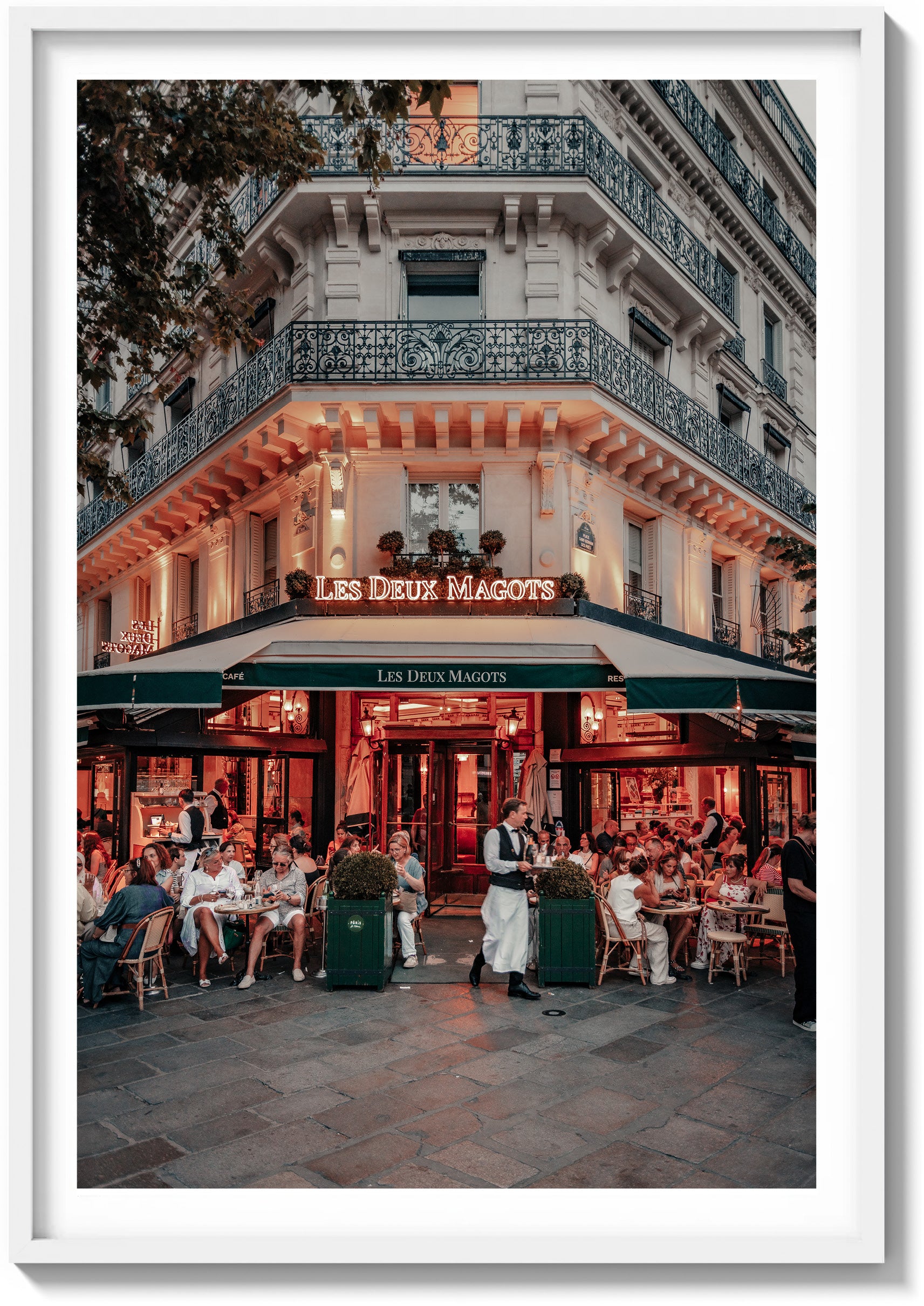 Under the Café Lights