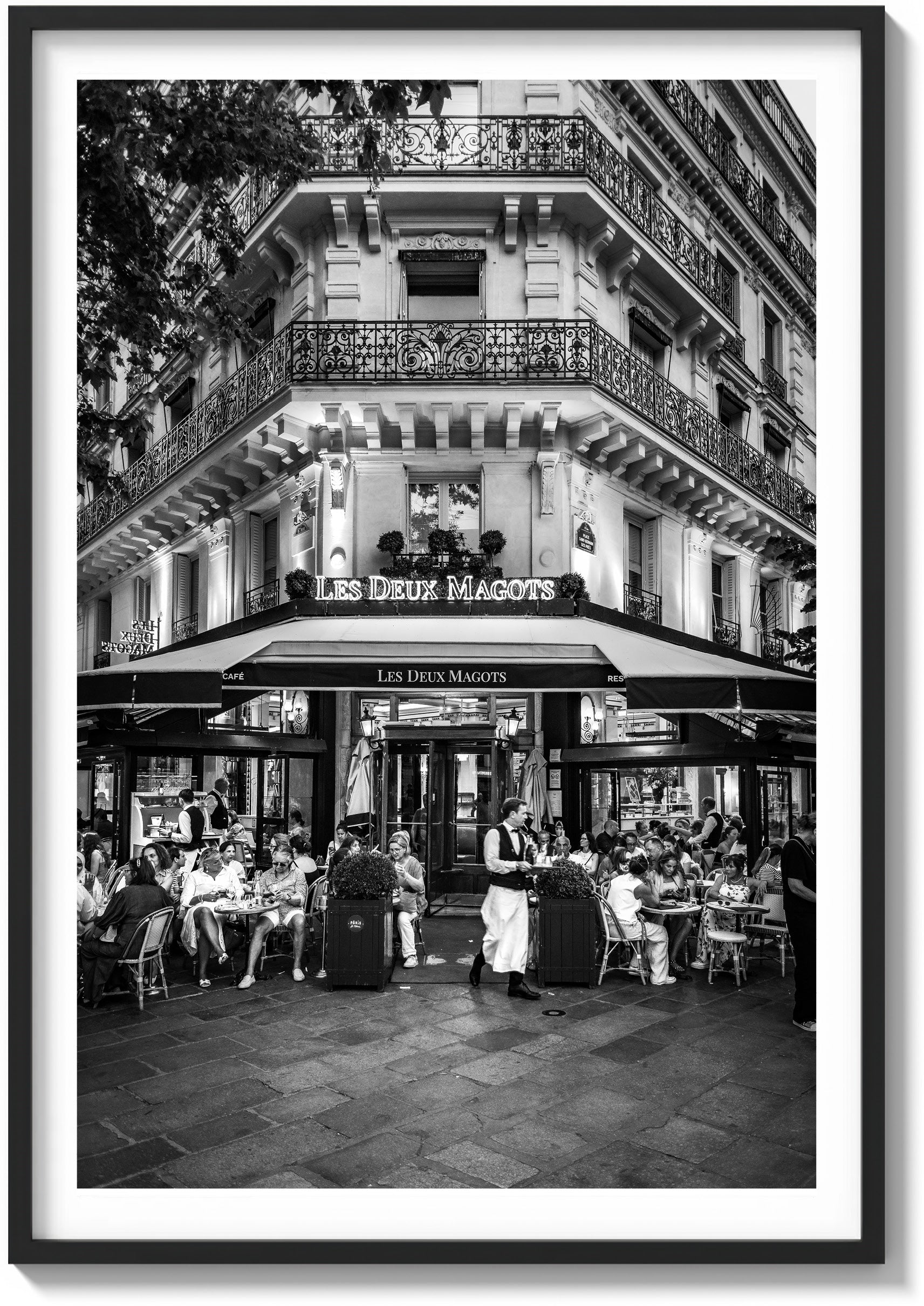 Under the Café Lights