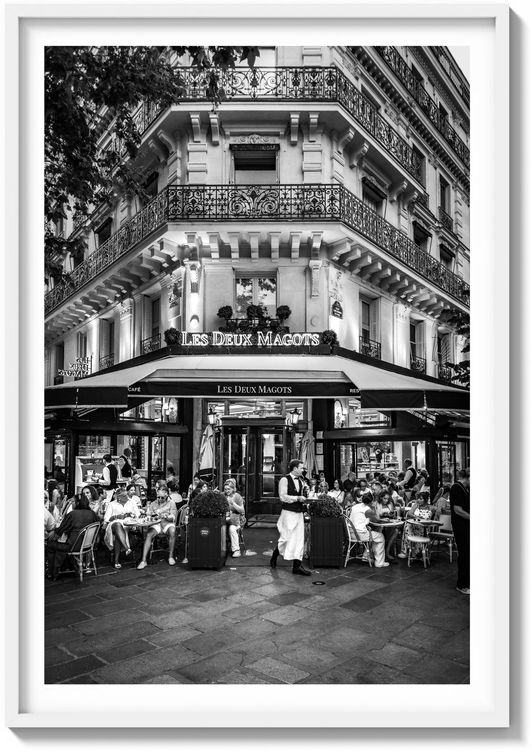 Under the Café Lights