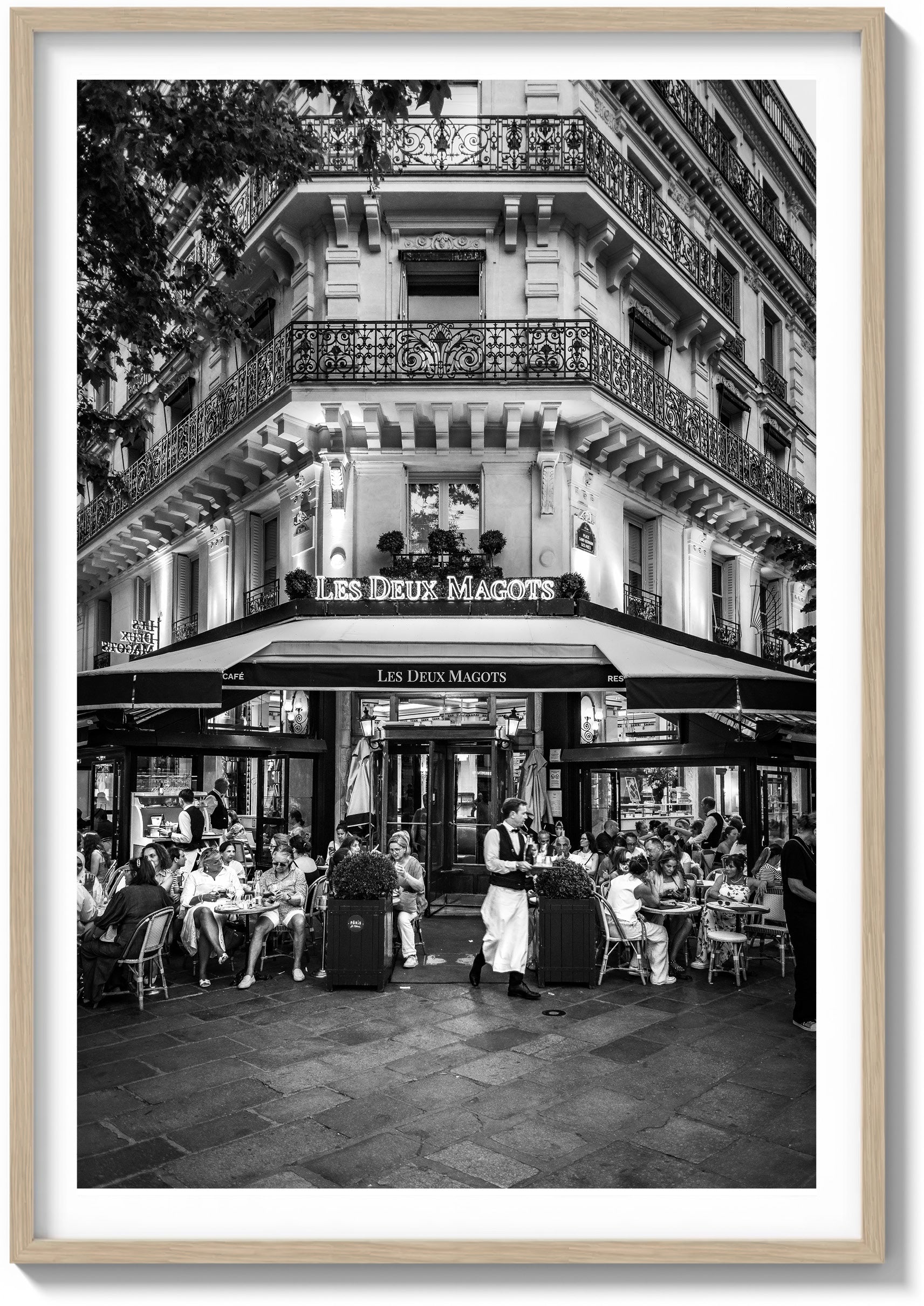 Under the Café Lights