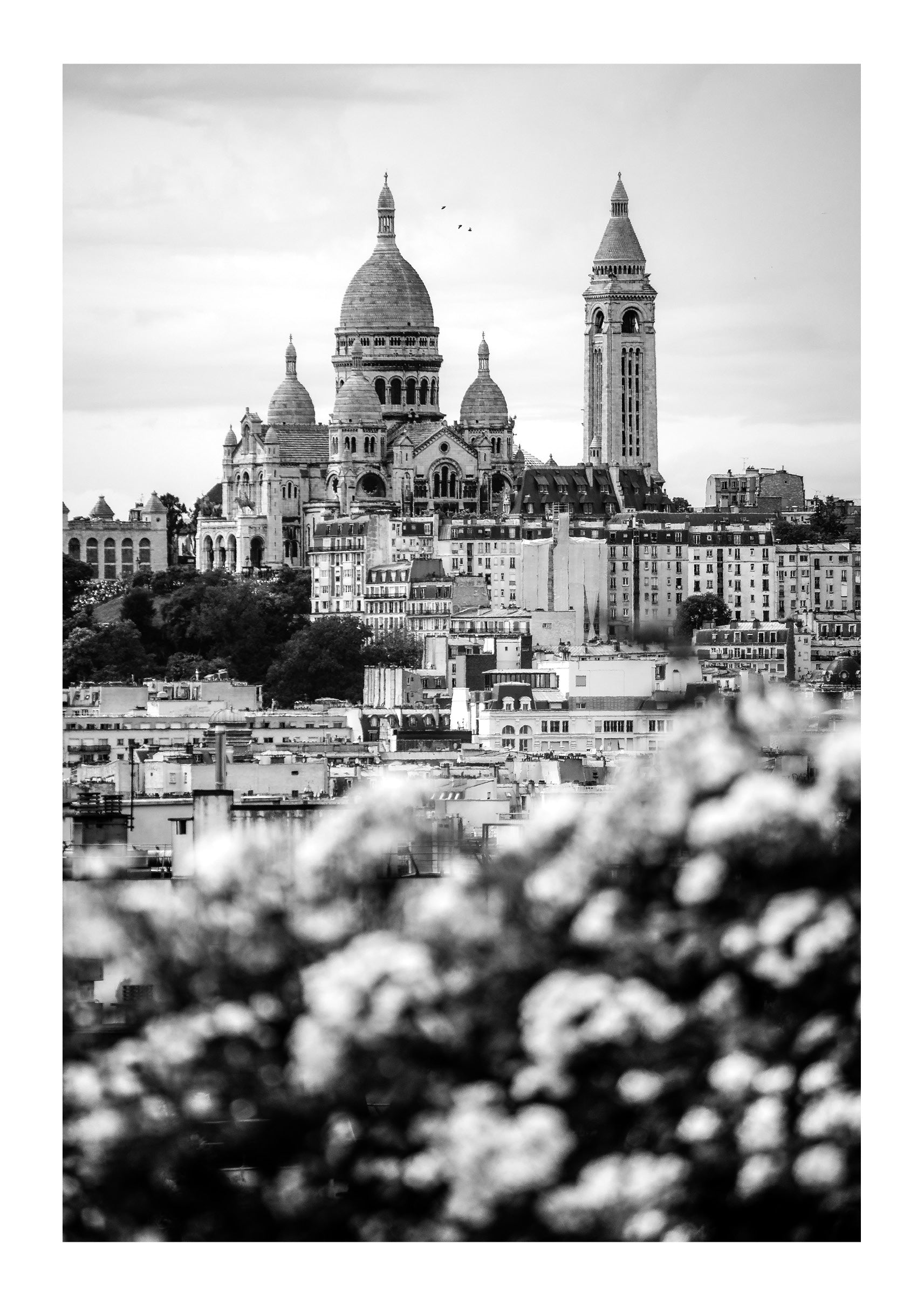 Montmartre on the Horizon