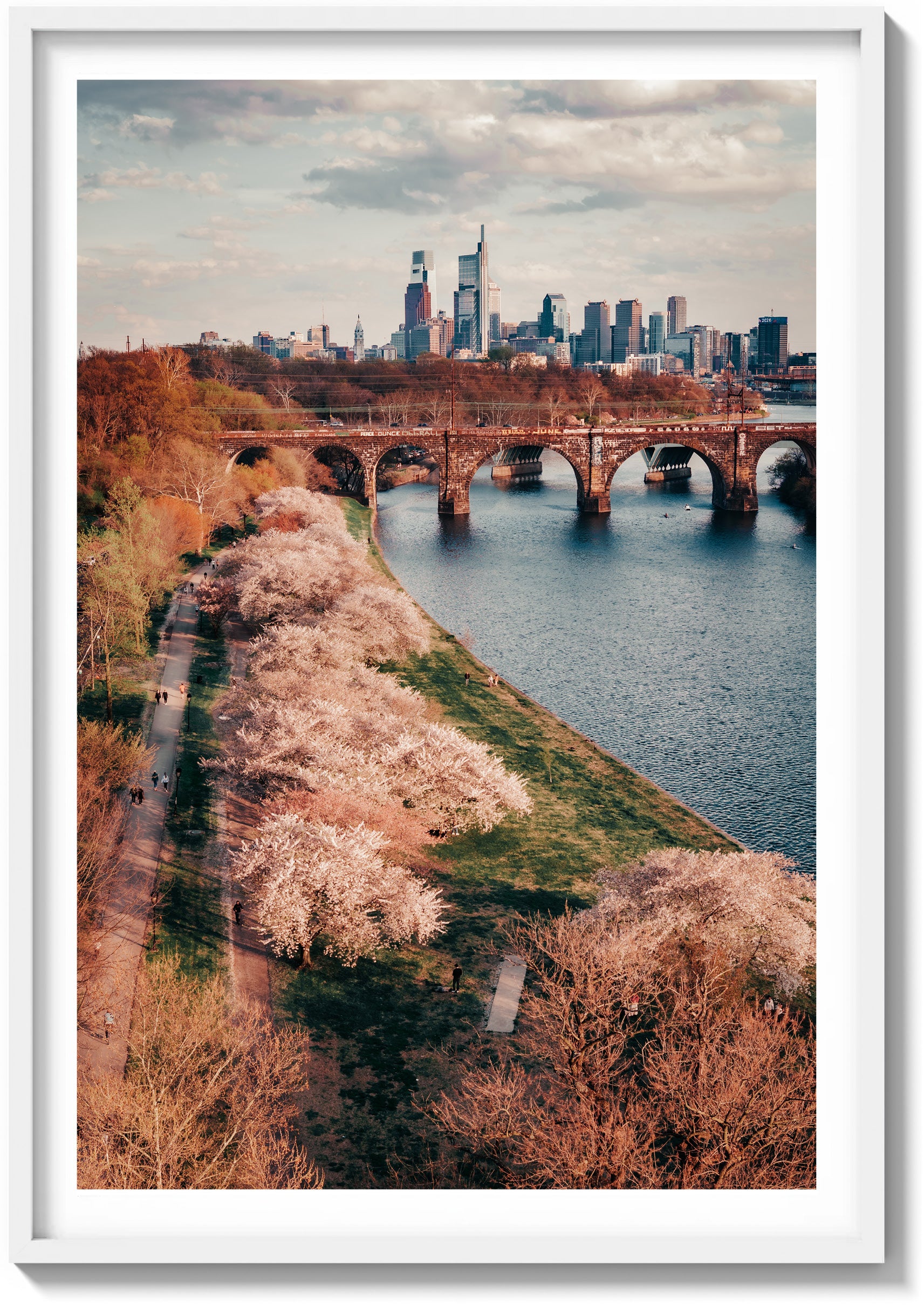 Springtime on Kelly Drive