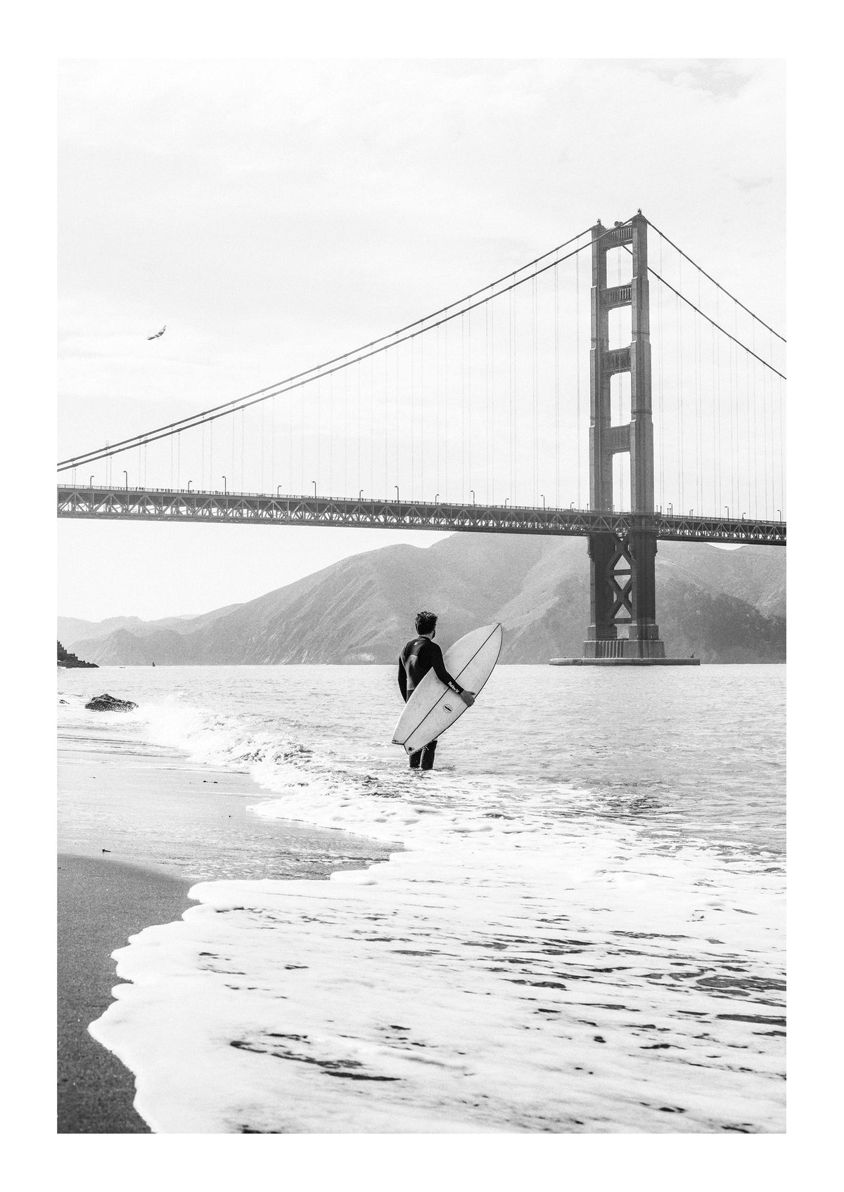 The Bay Surfer