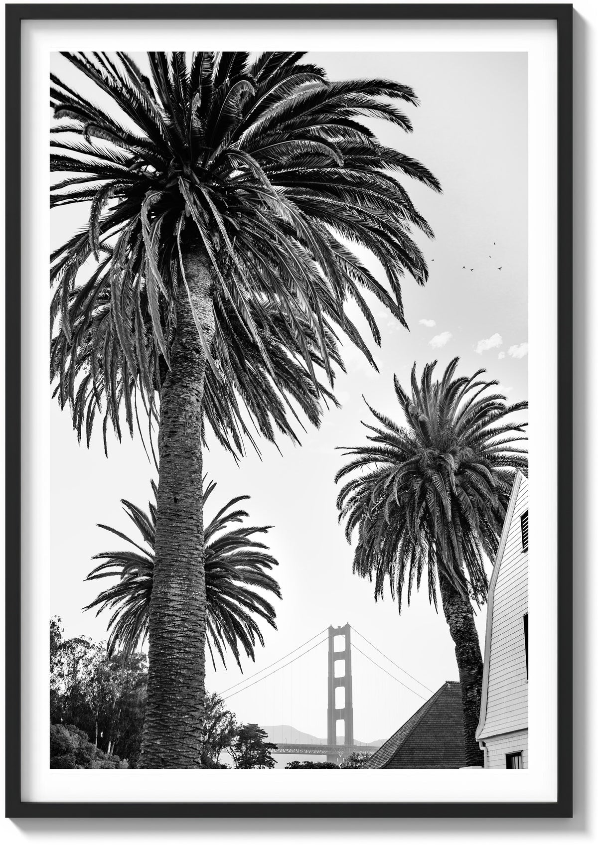 Gate Between the Palms