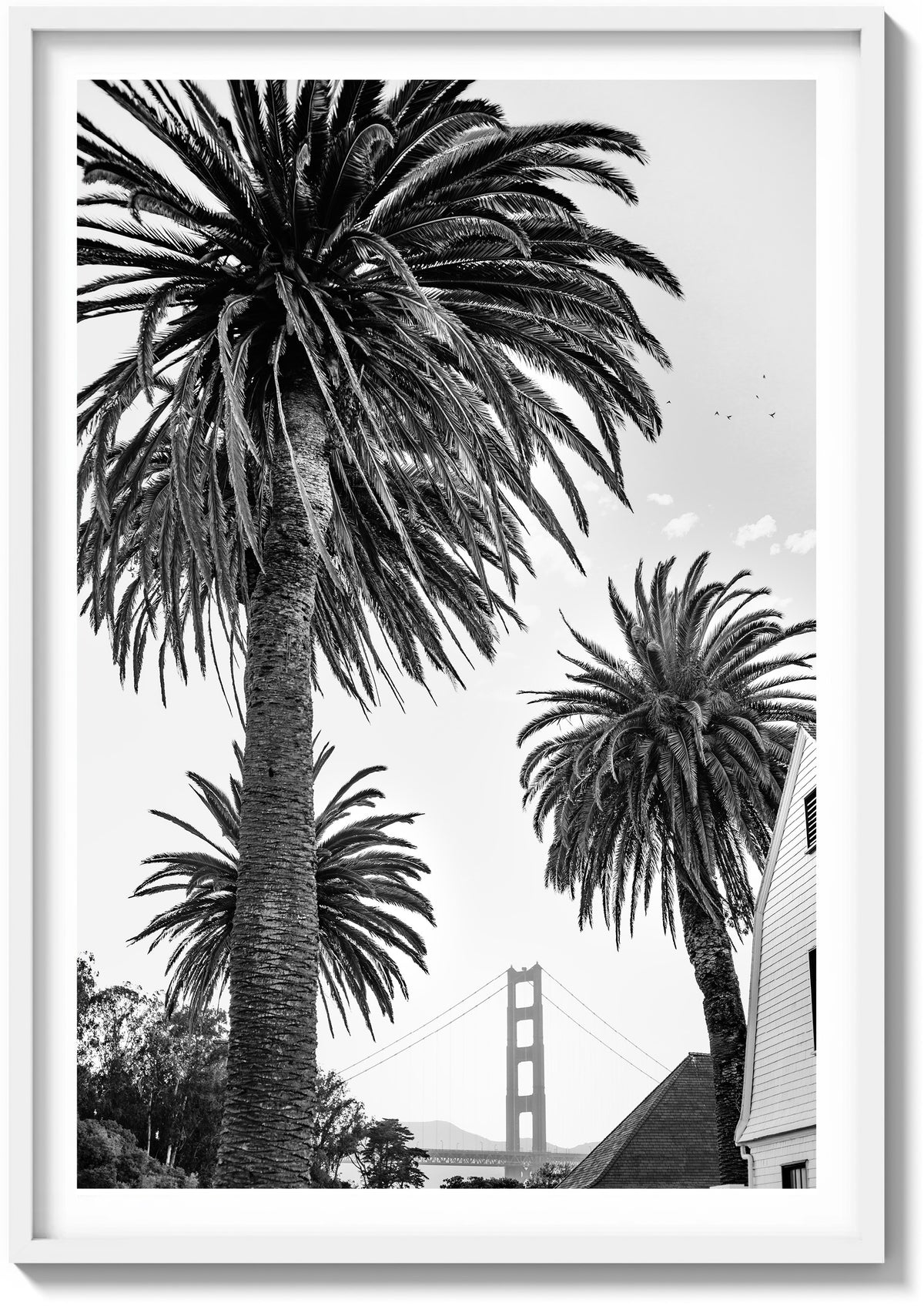 Gate Between the Palms