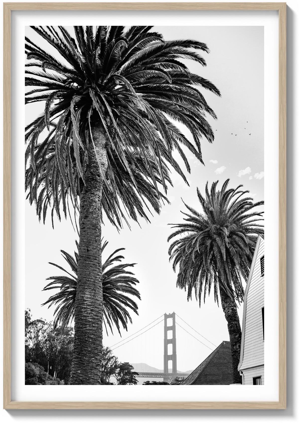 Gate Between the Palms