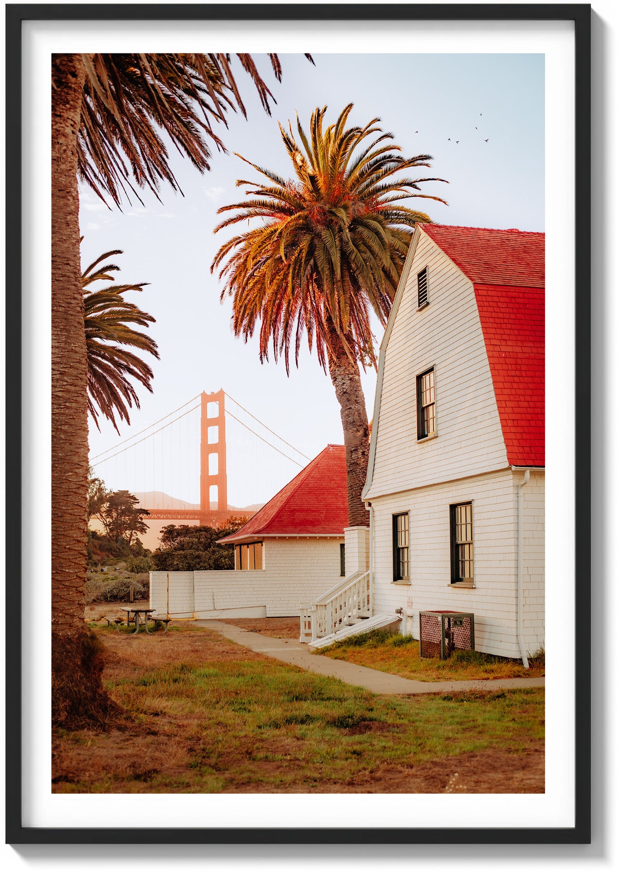 San Francisco Palms