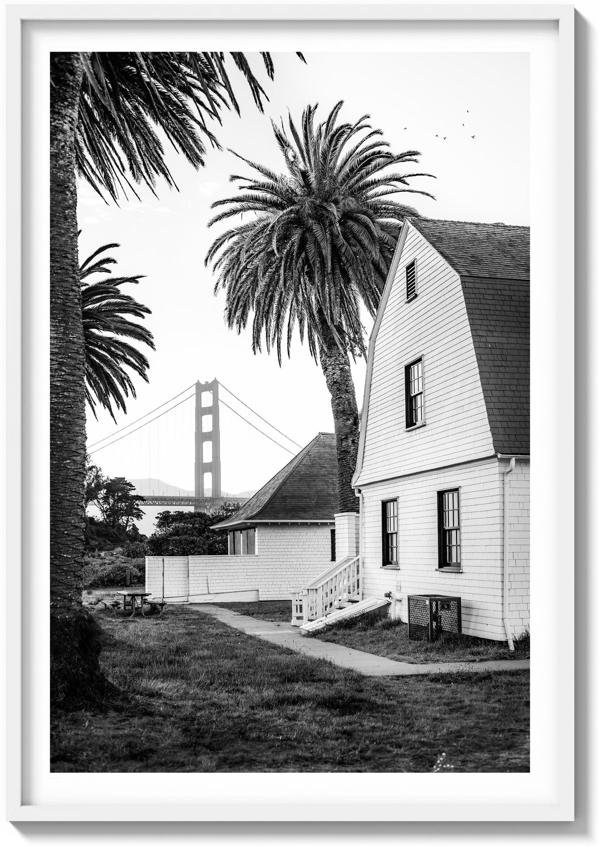San Francisco Palms