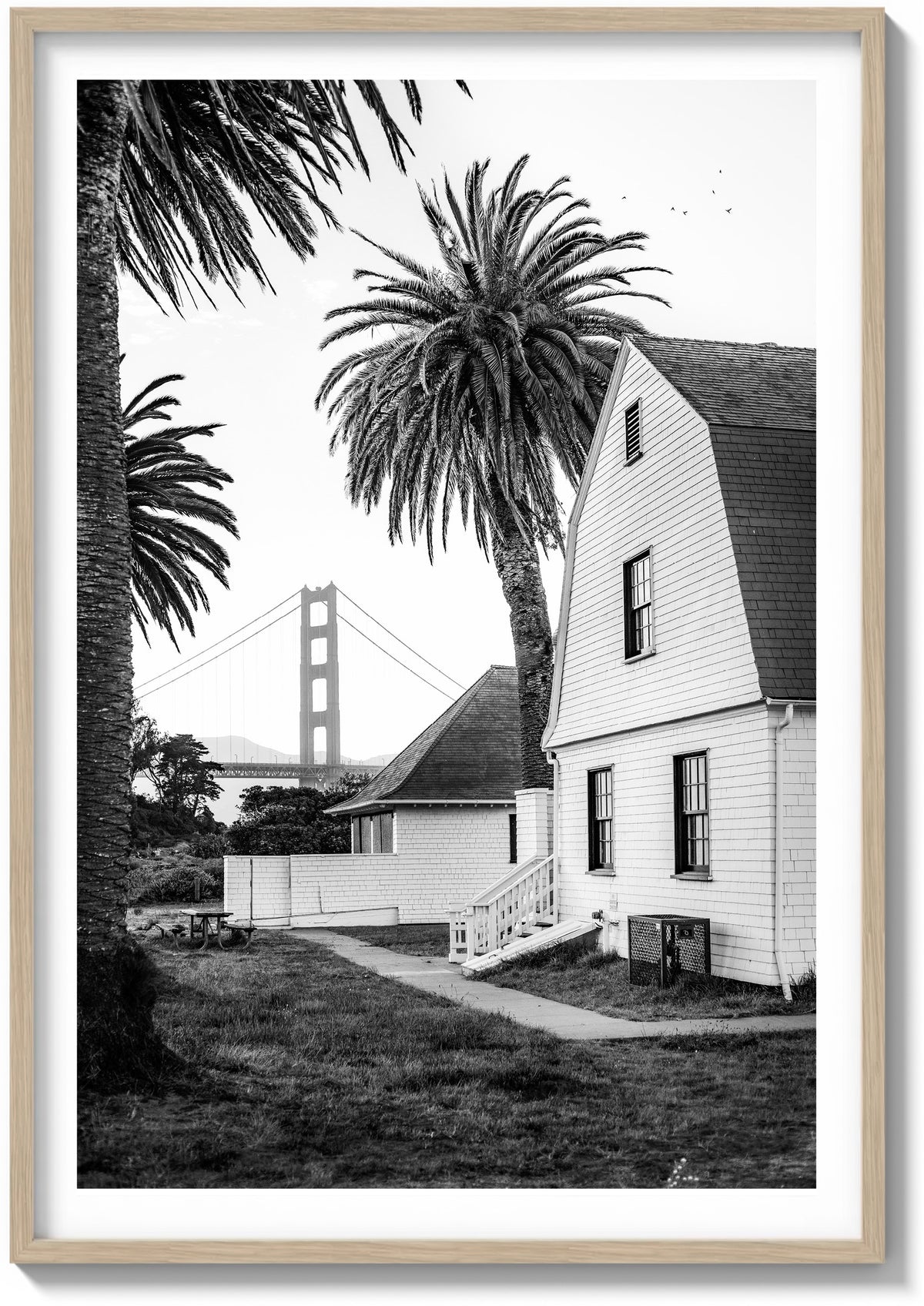 San Francisco Palms
