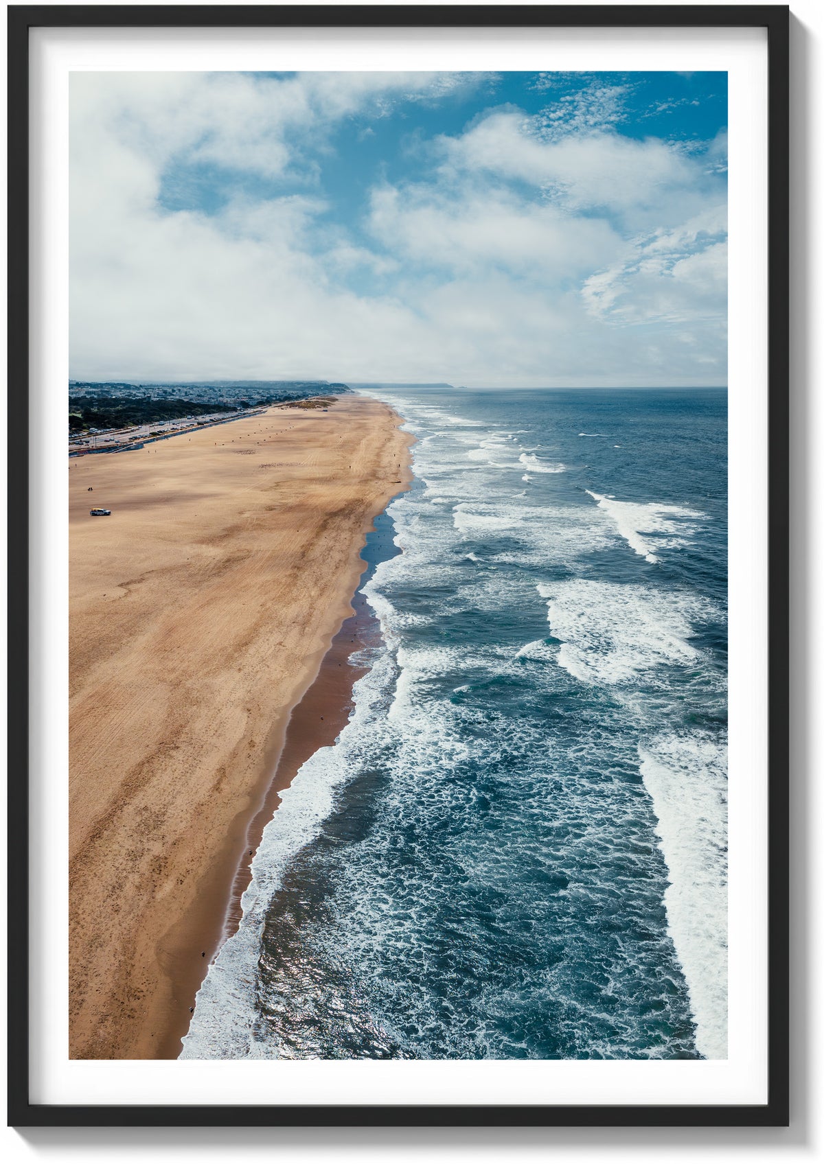 Soaring Over Ocean Beach