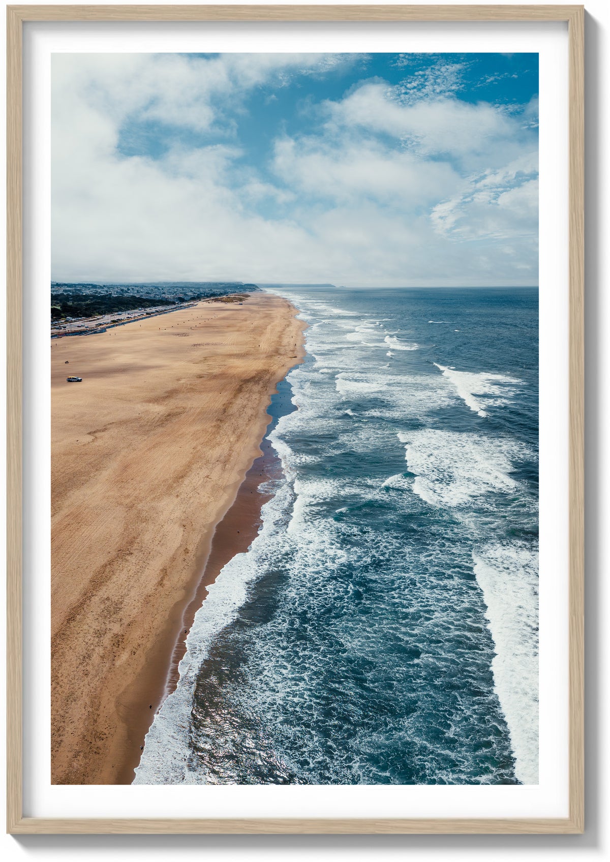 Soaring Over Ocean Beach