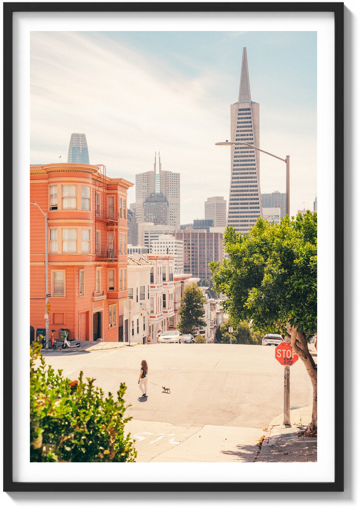 Summer In North Beach
