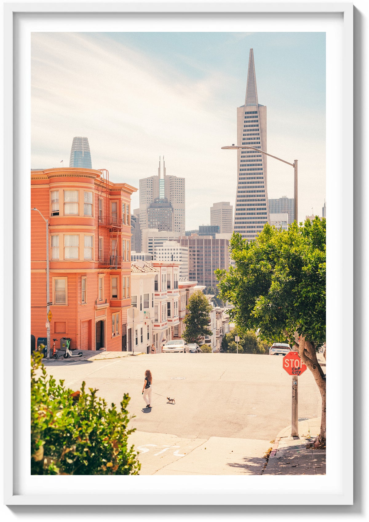 Summer In North Beach
