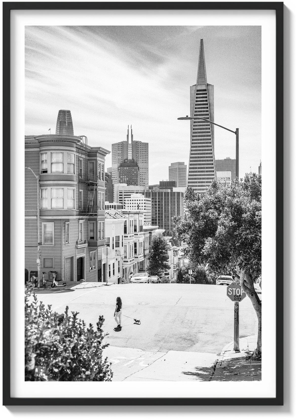 Summer In North Beach
