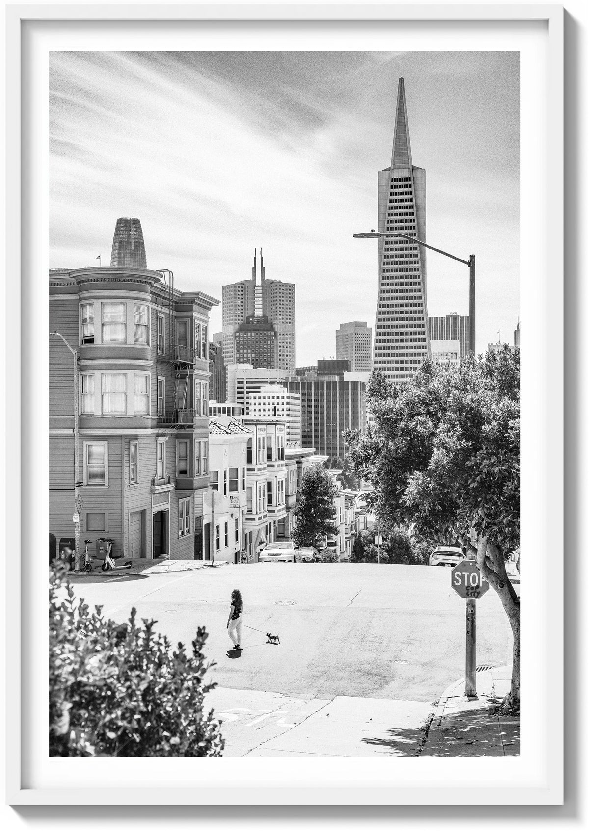 Summer In North Beach