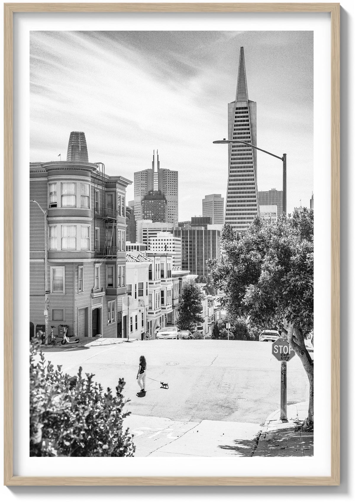 Summer In North Beach