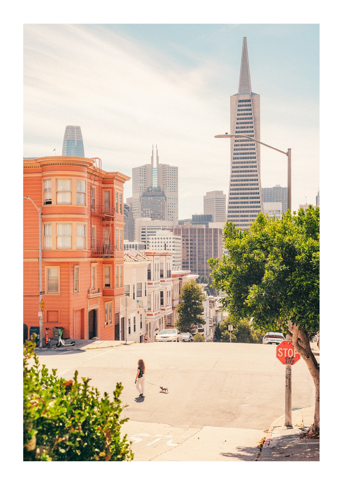 Summer In North Beach