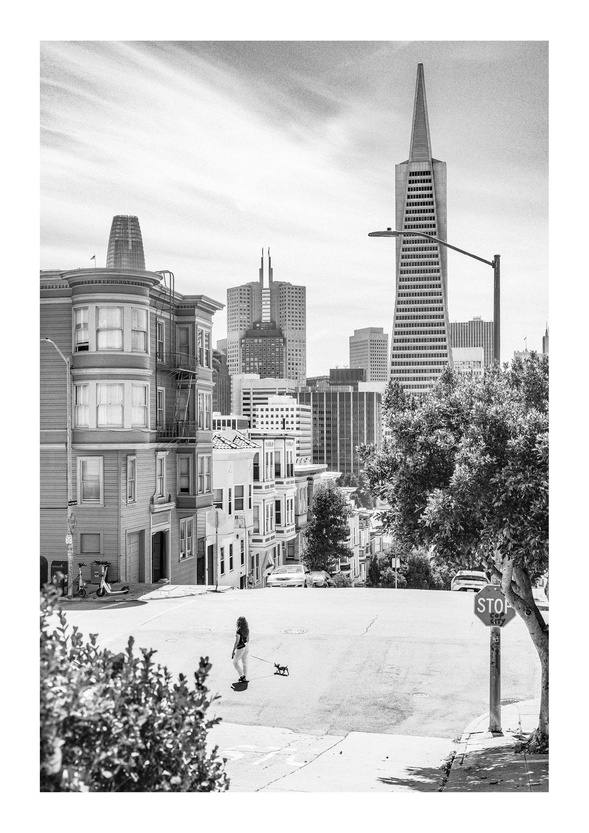 Summer In North Beach