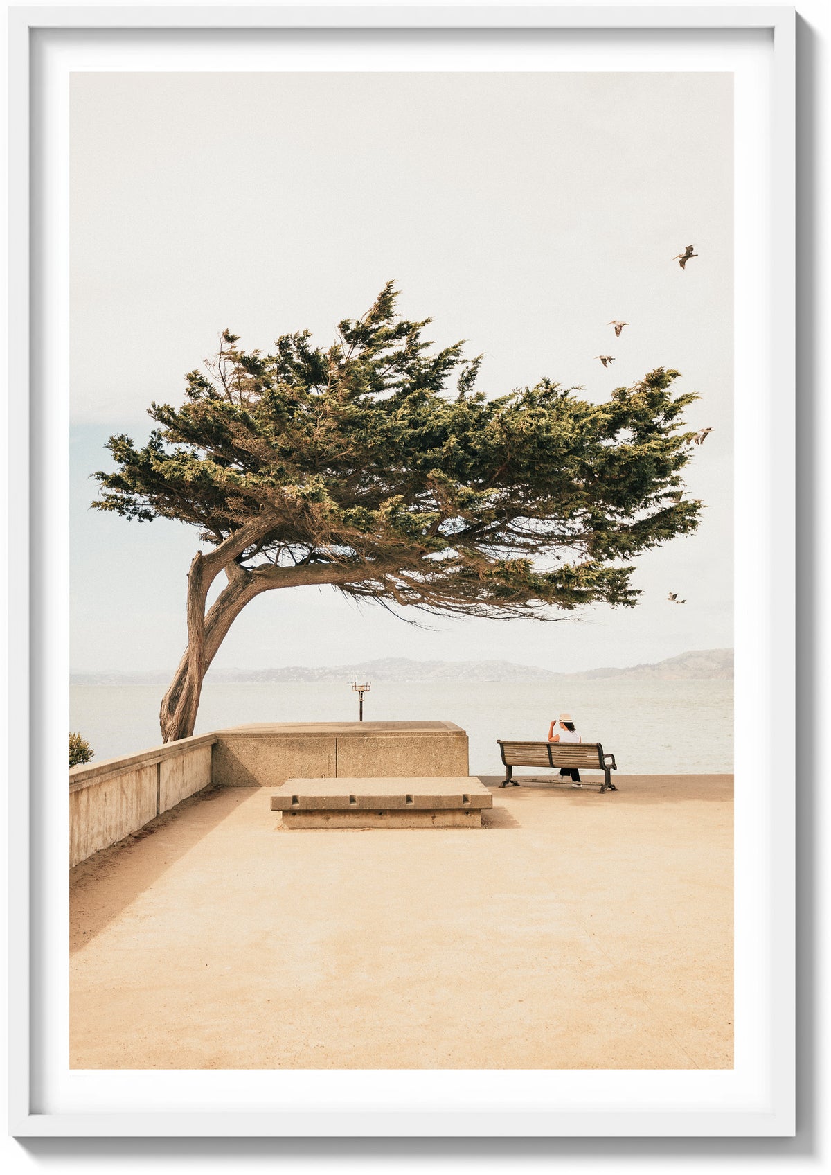 Lone Cypress