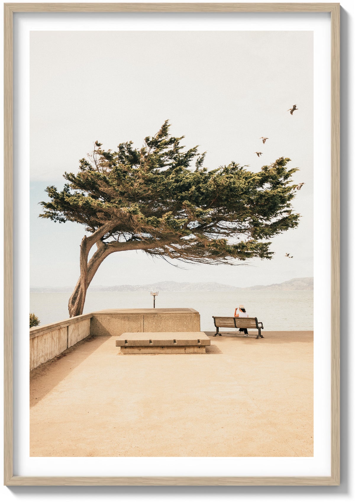 Lone Cypress