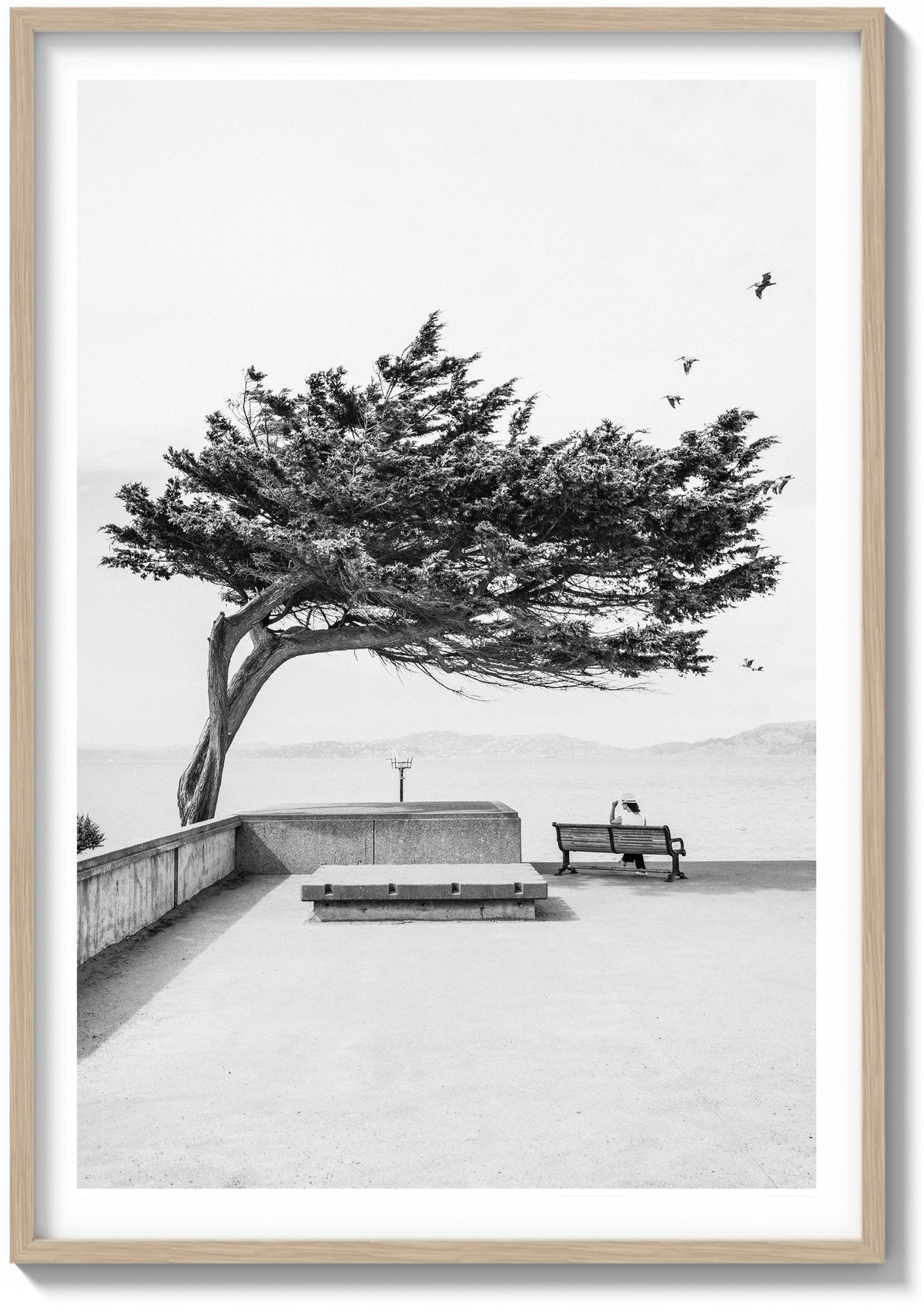 Lone Cypress